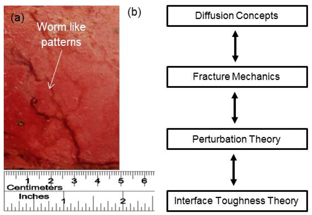 Sustainability 07 15825 g012 1024