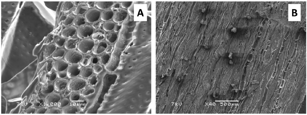 Sustainability 08 00169 g001 1024