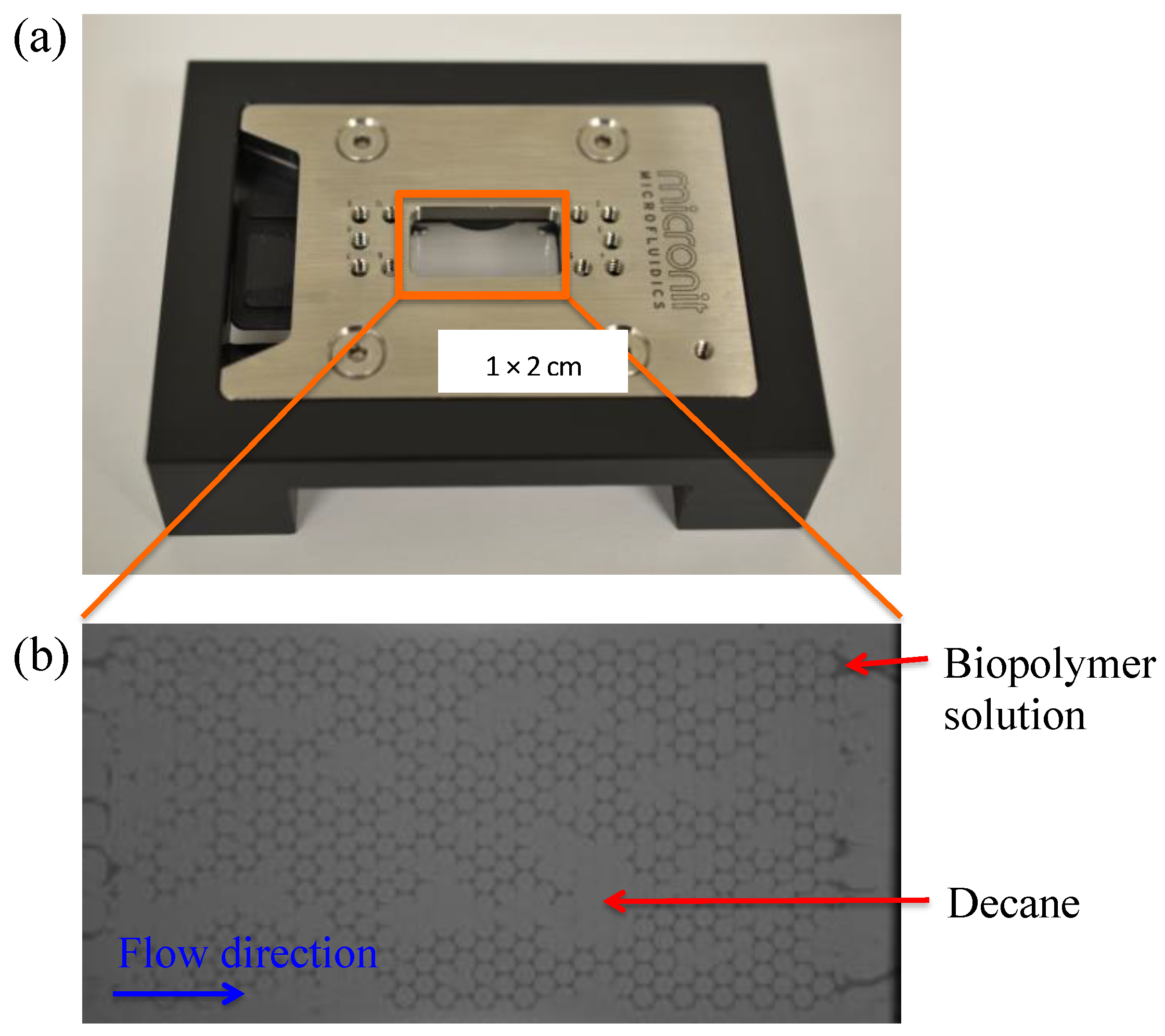 Sustainability 08 00205 g008