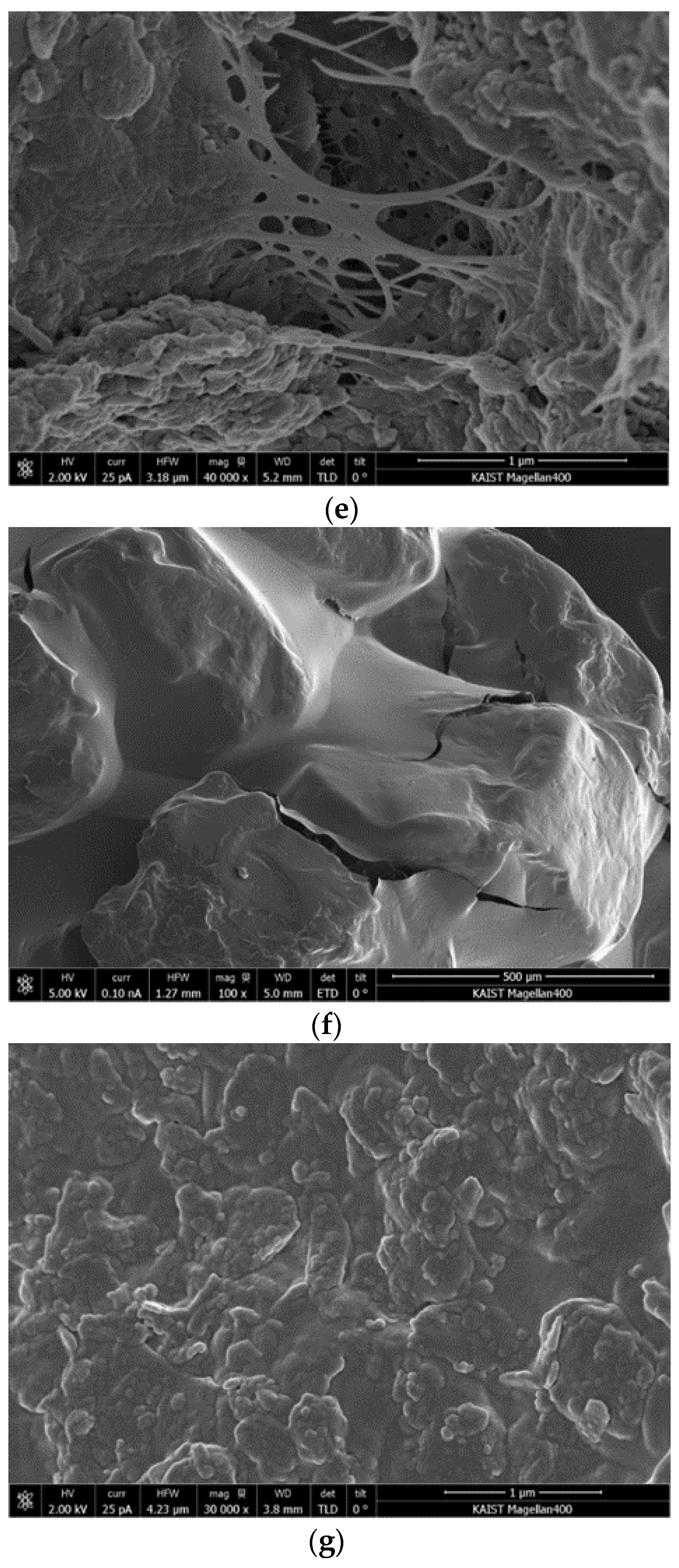 Sustainability 08 00251 g004b