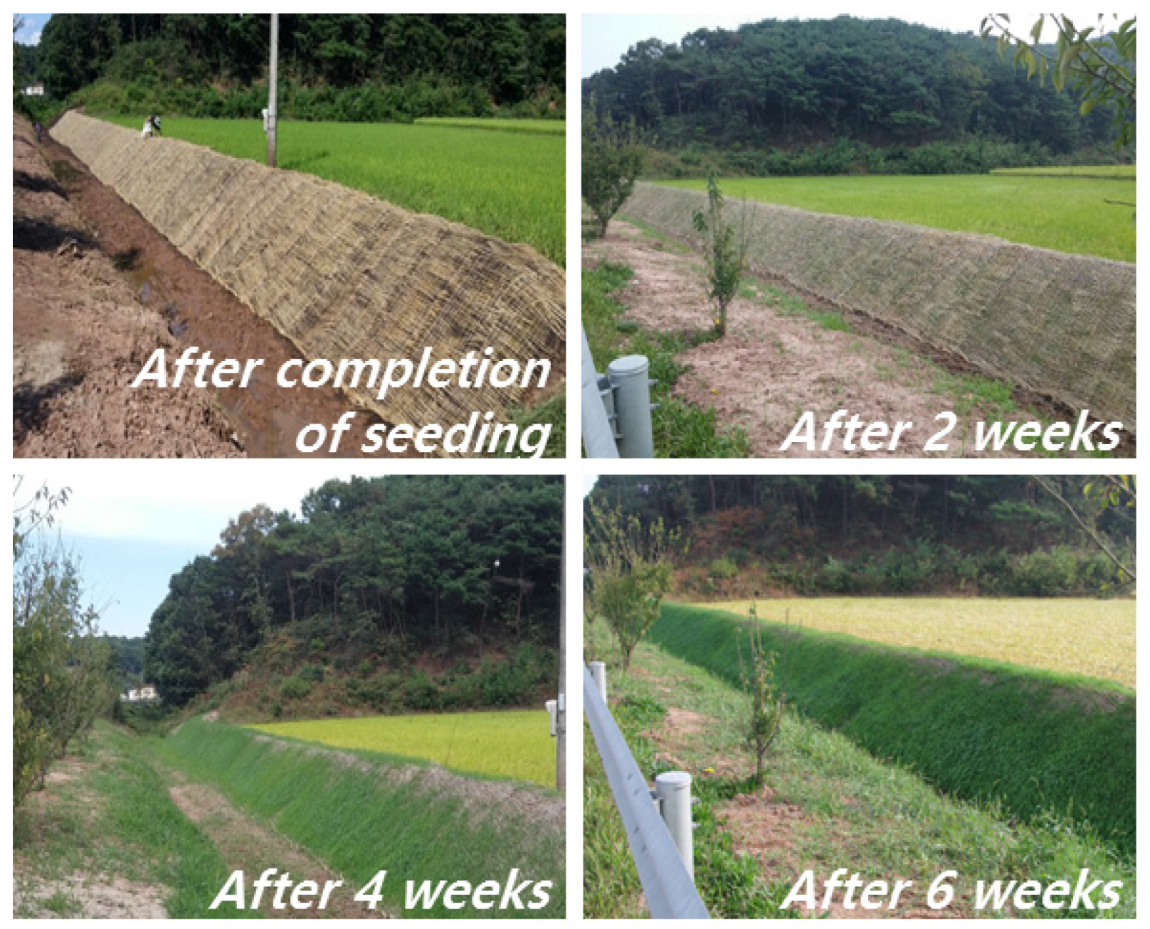 Sustainability 08 00294 g017