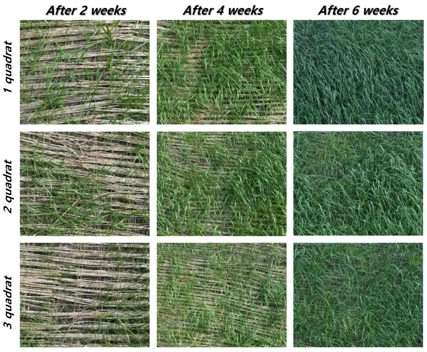 Sustainability 08 00294 g020