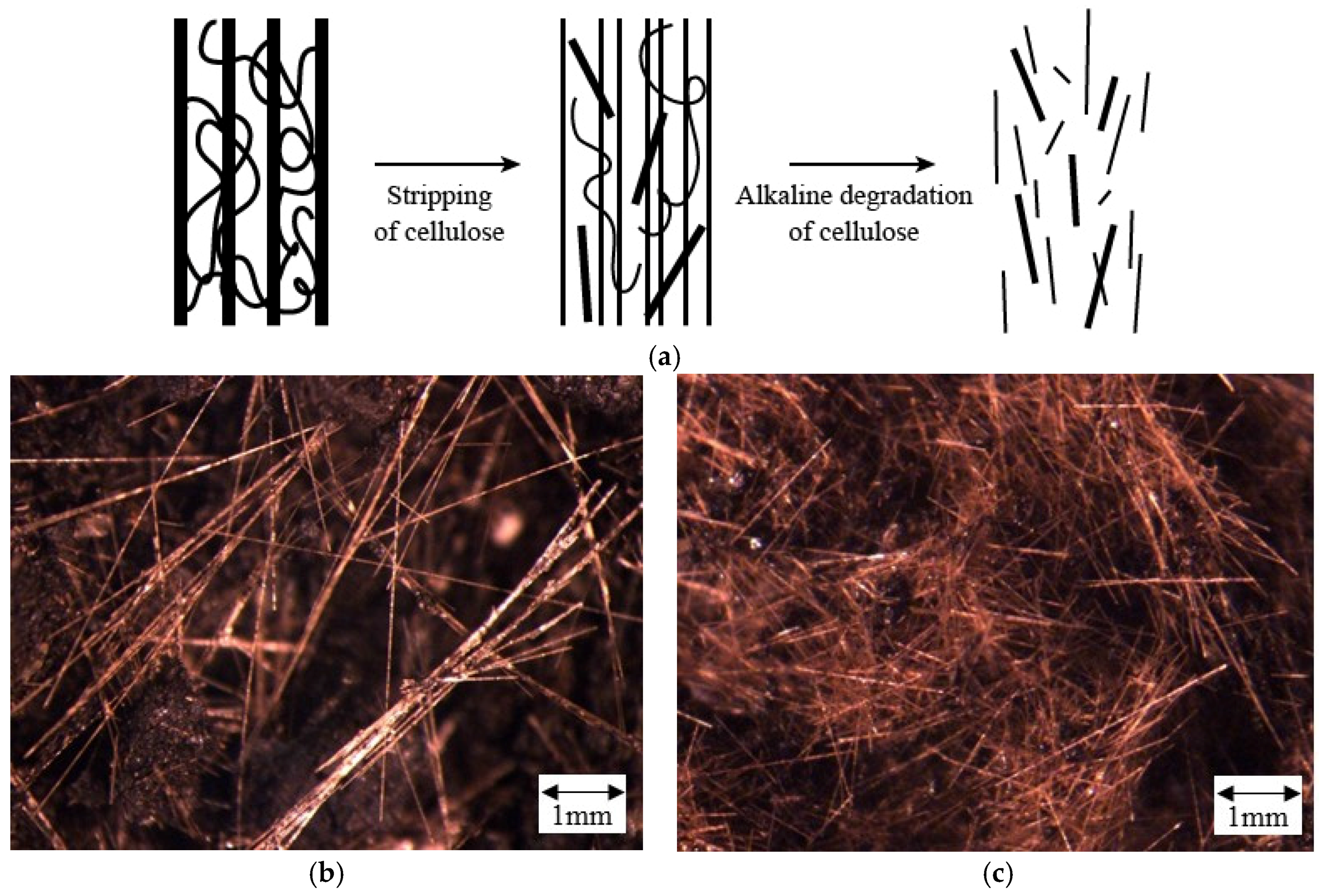 Sustainability 08 00384 g013