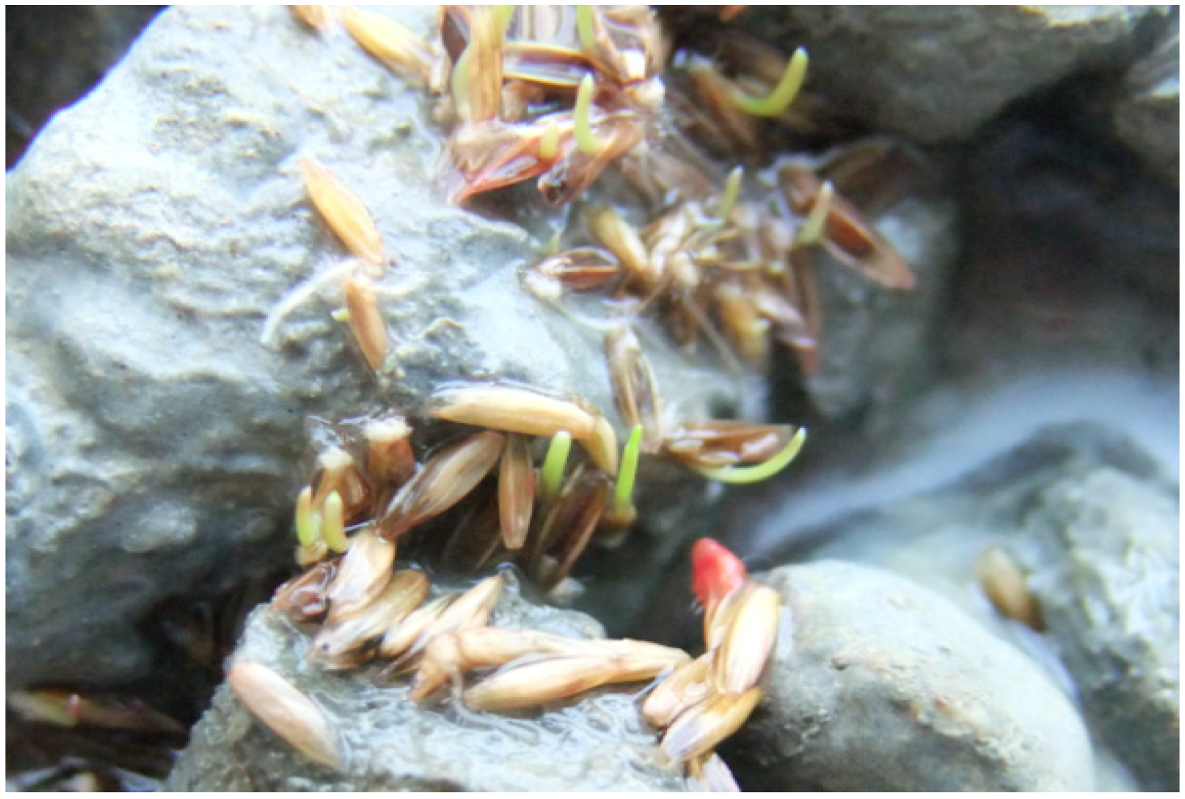 Sustainability 08 00386 g014