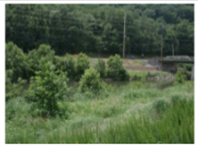 Sustainability 08 00486 i004