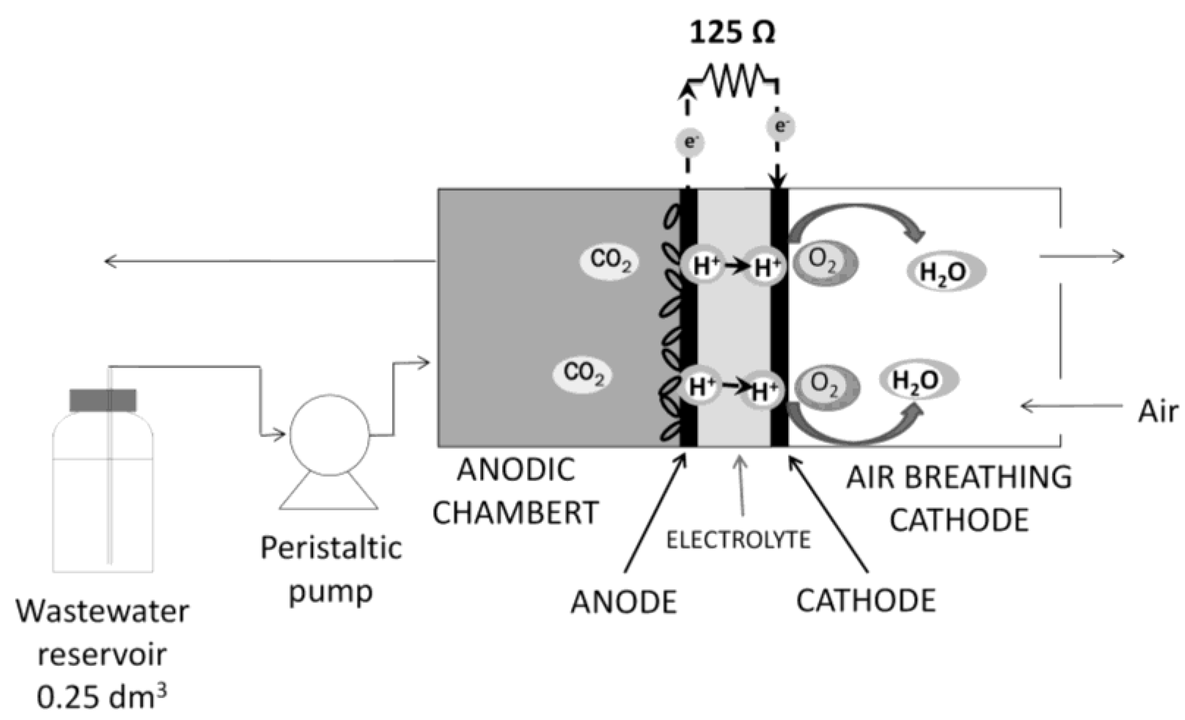 Sustainability 08 00561 g001