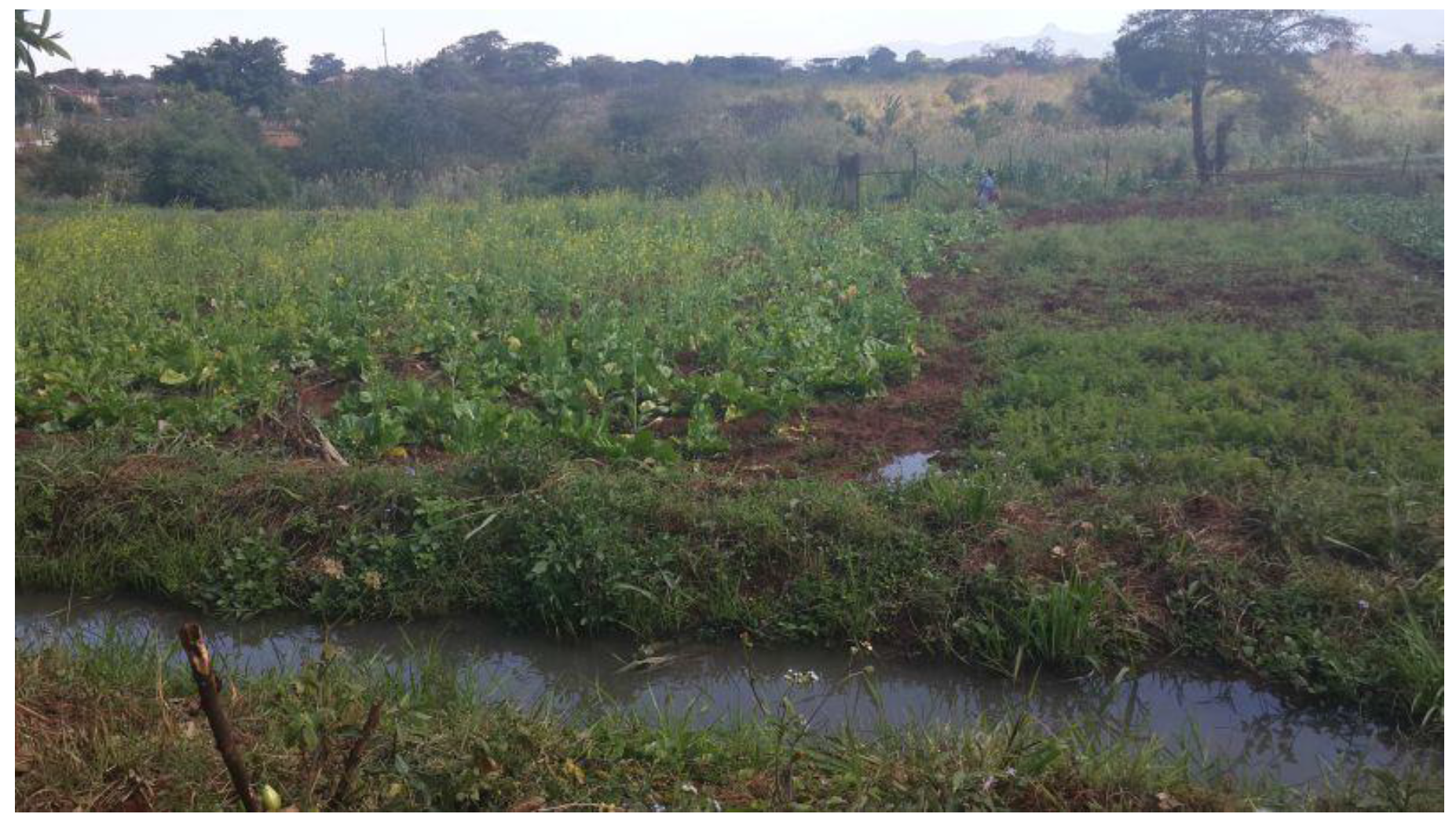 Sustainability 08 00597 g004