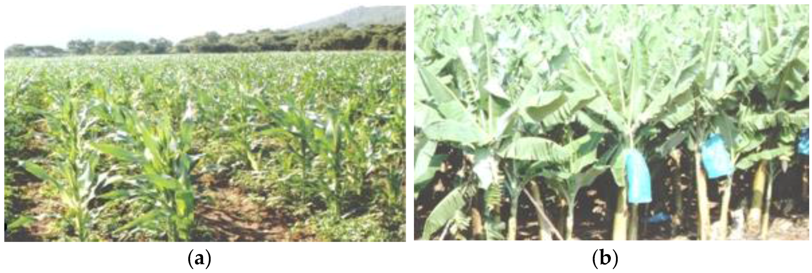 Sustainability 08 00597 g007