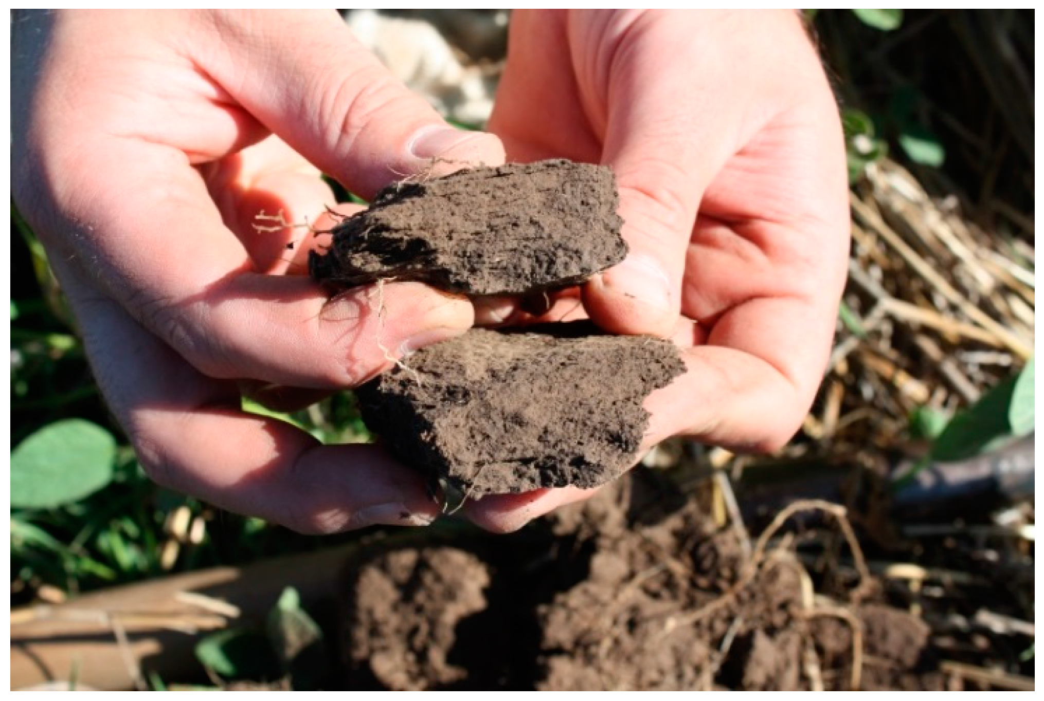 Sustainability 08 00653 g005