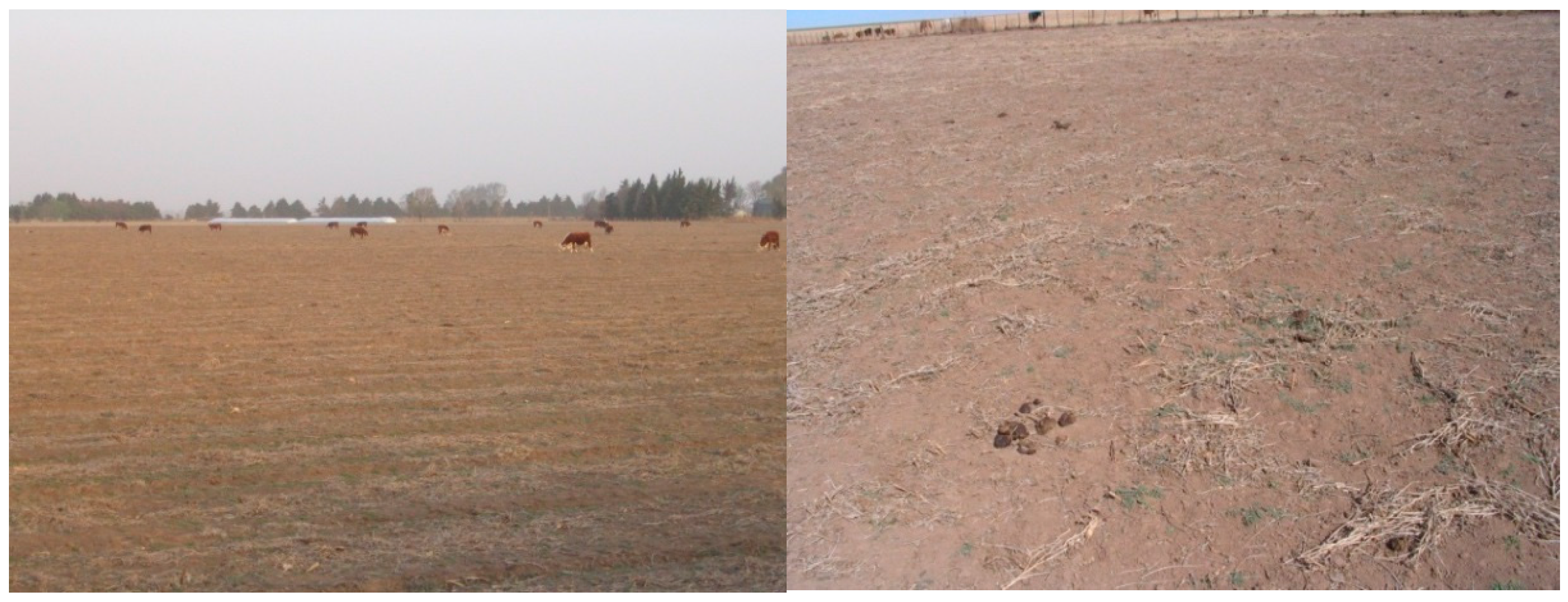 Sustainability 08 00653 g006