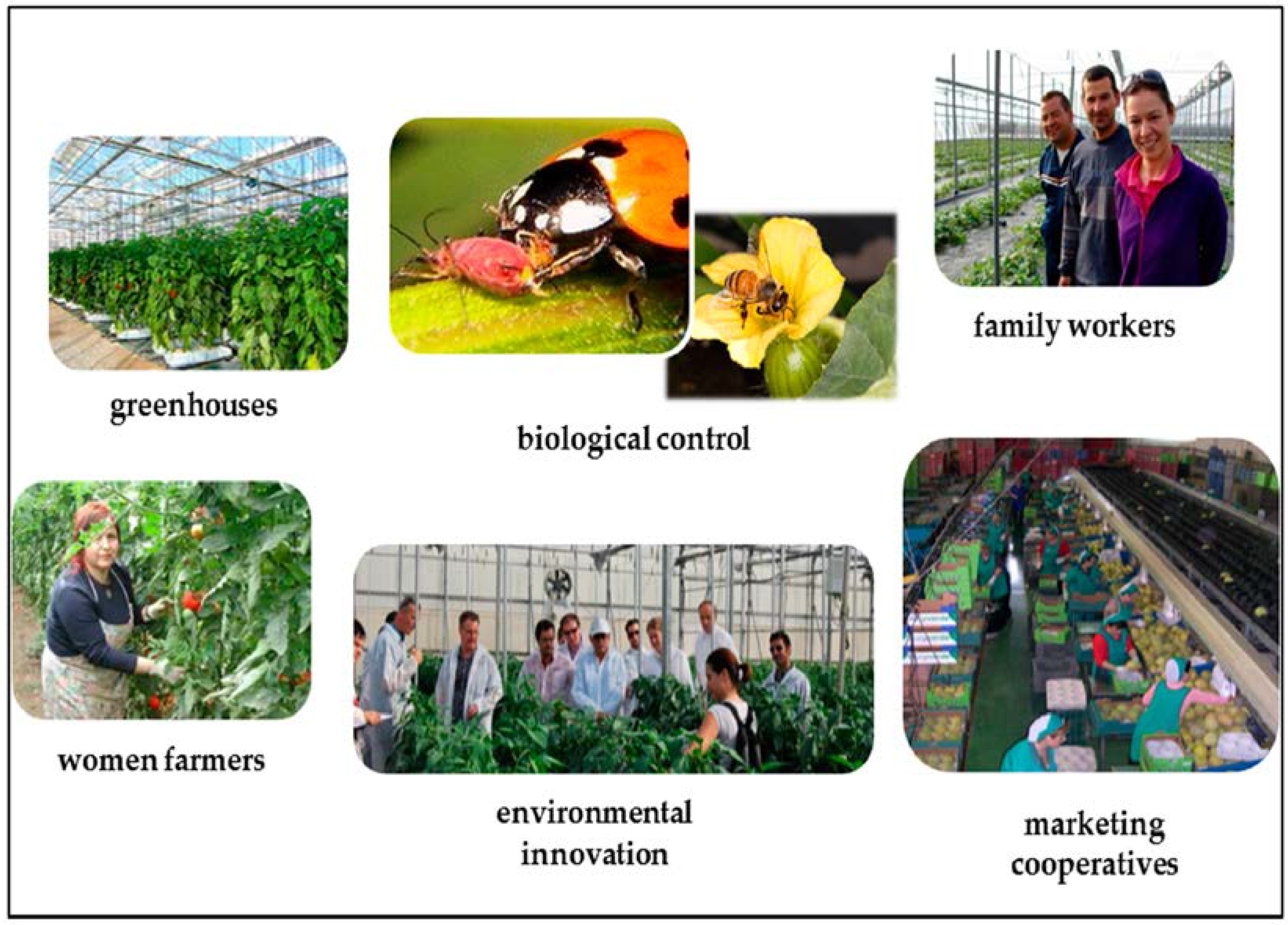 Sustainability 08 00893 g003