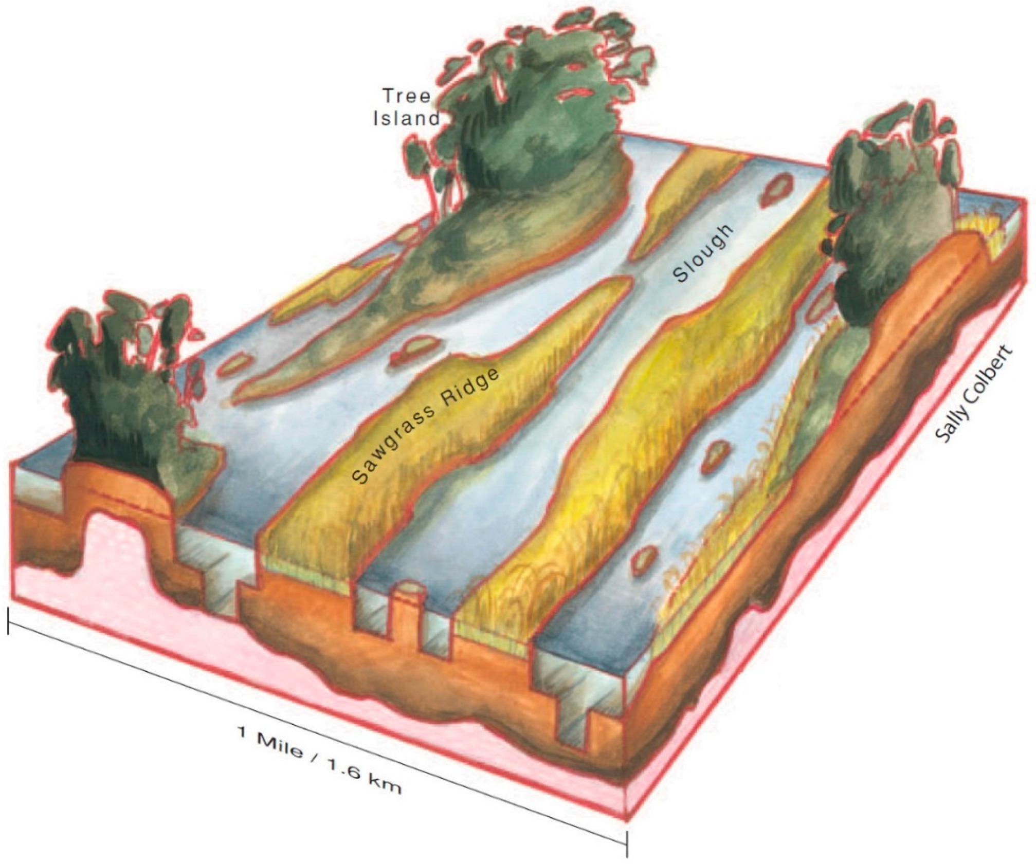 Sustainability 08 00940 g001