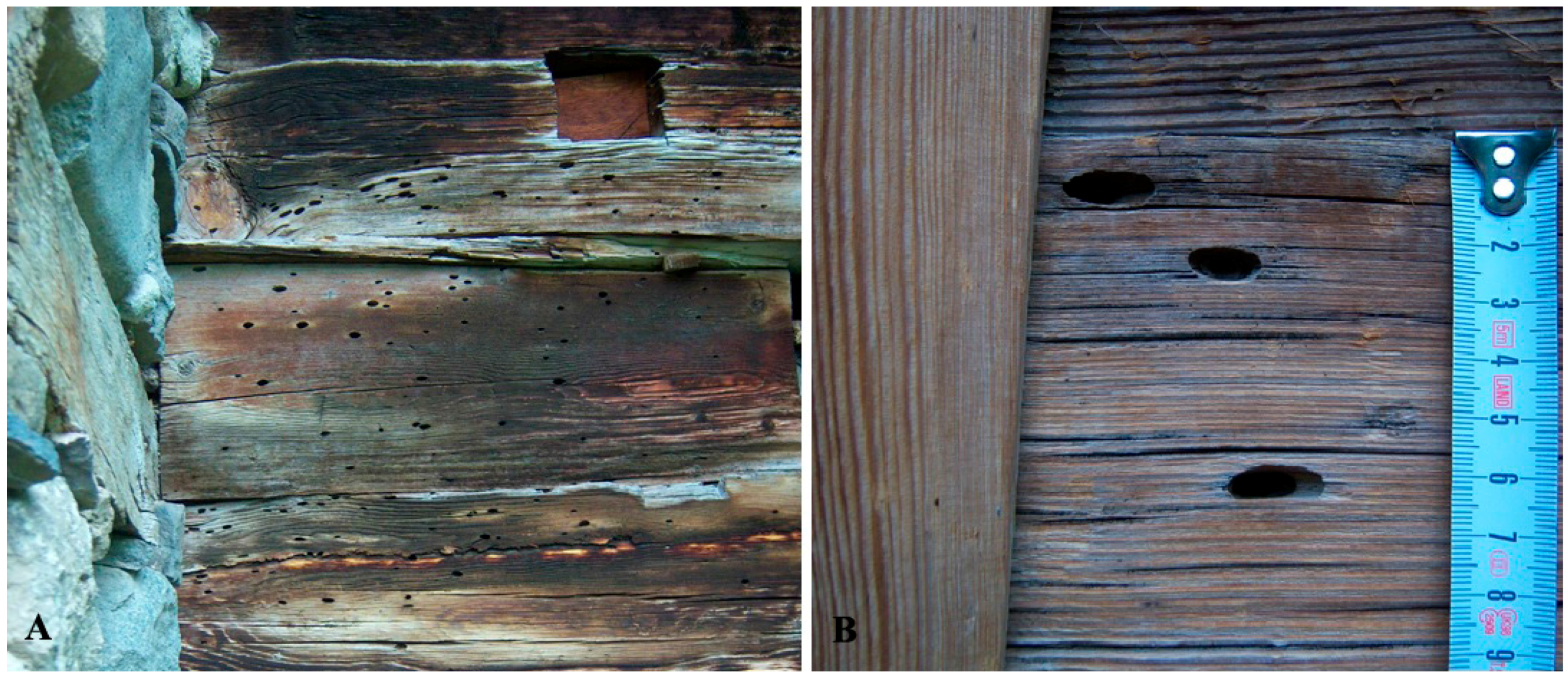 Sustainability 08 00974 g004