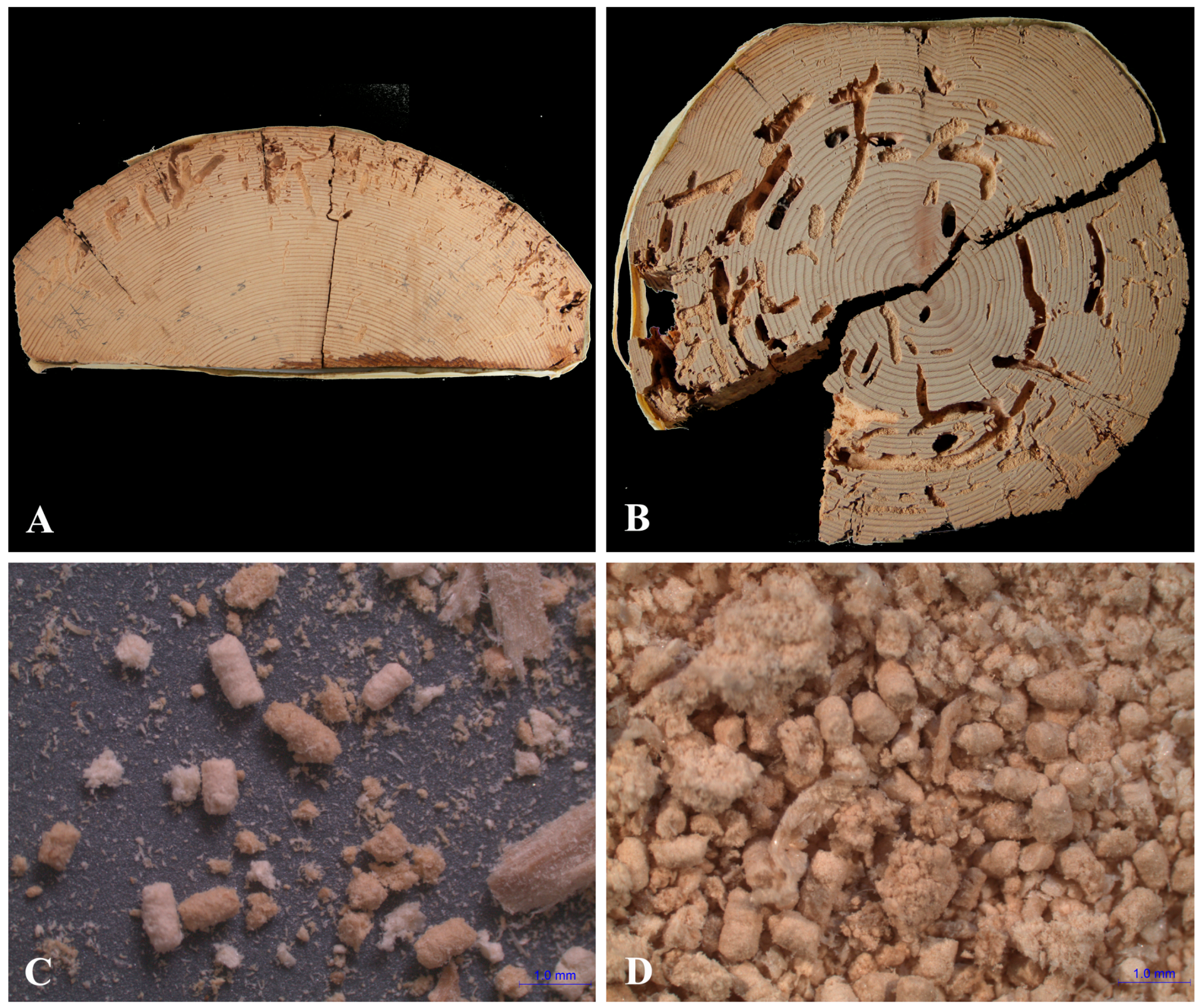 Sustainability 08 00974 g005