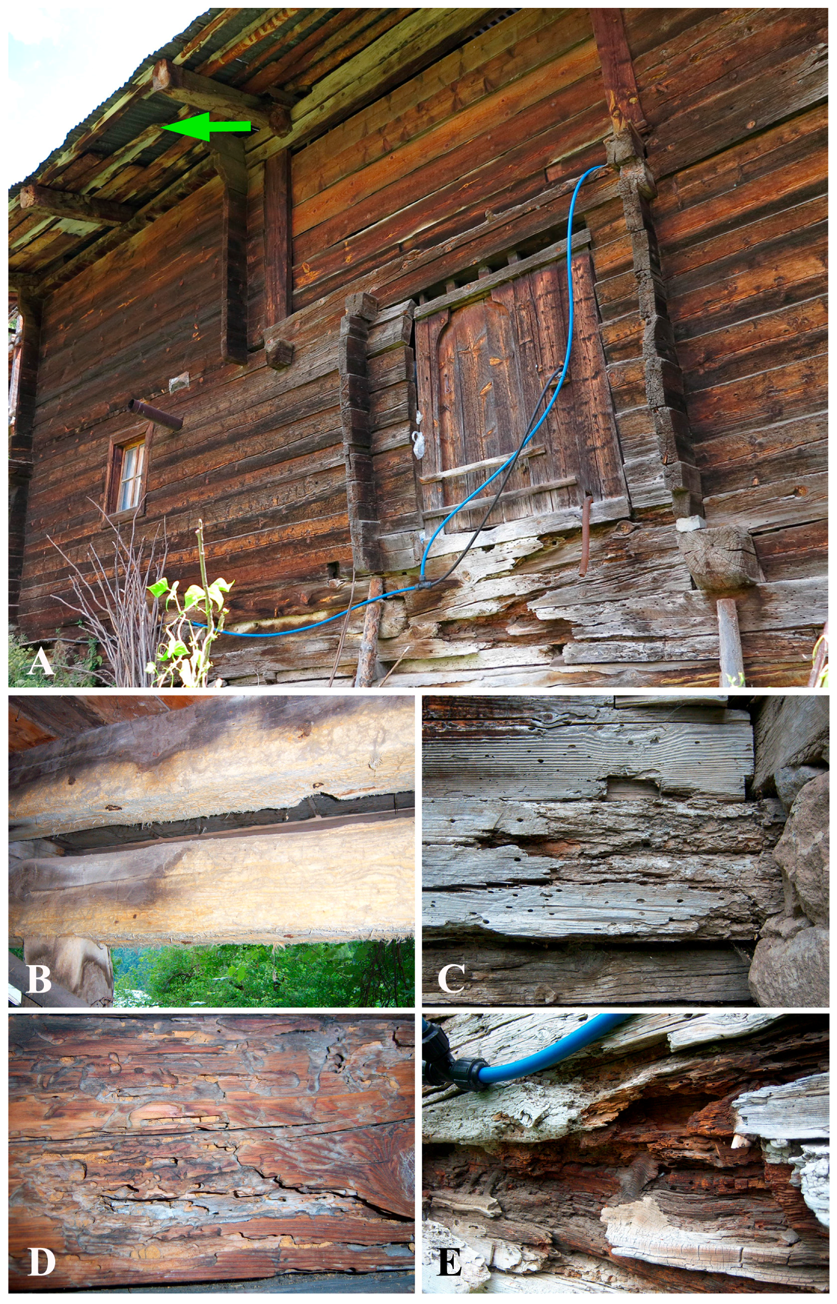 Sustainability 08 00974 g006