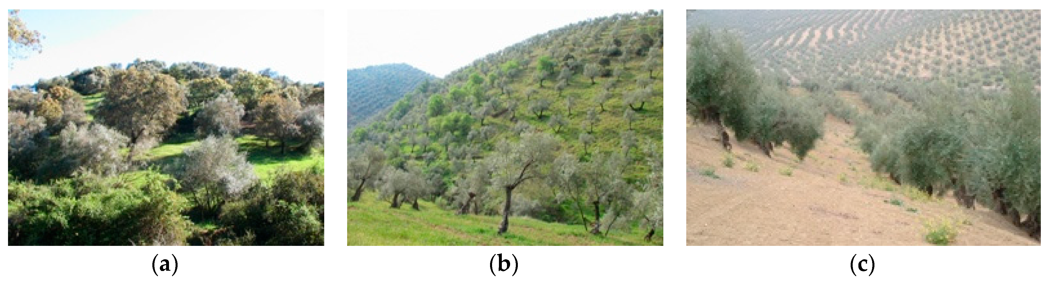 Sustainability 08 01160 g001