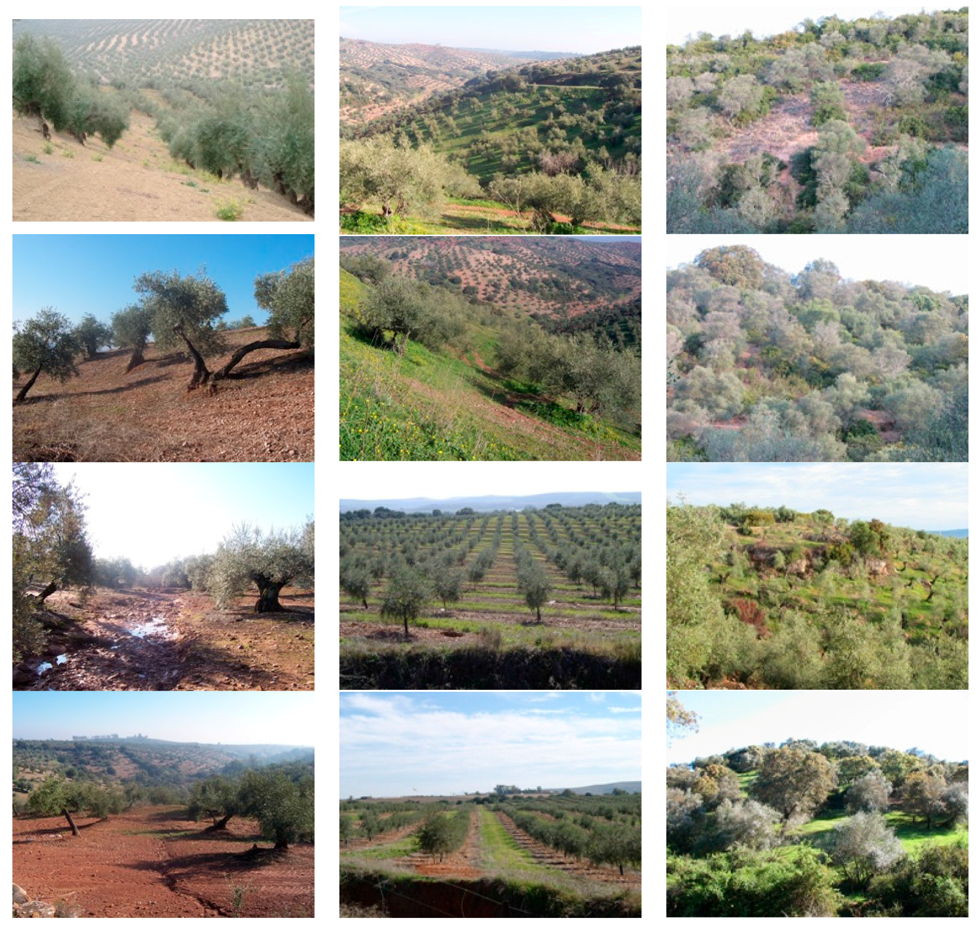 Sustainability 08 01160 g006a