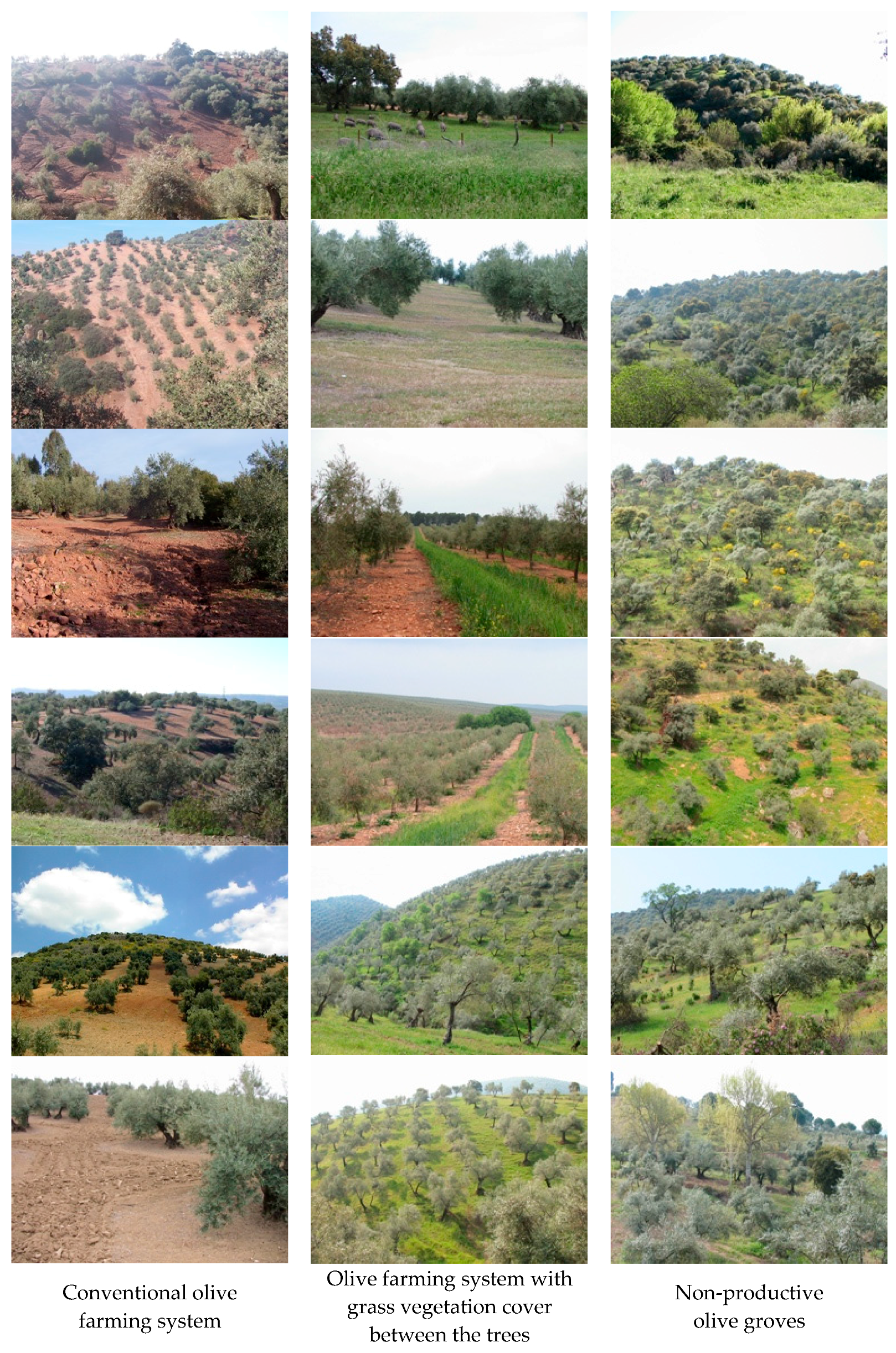 Sustainability 08 01160 g006b