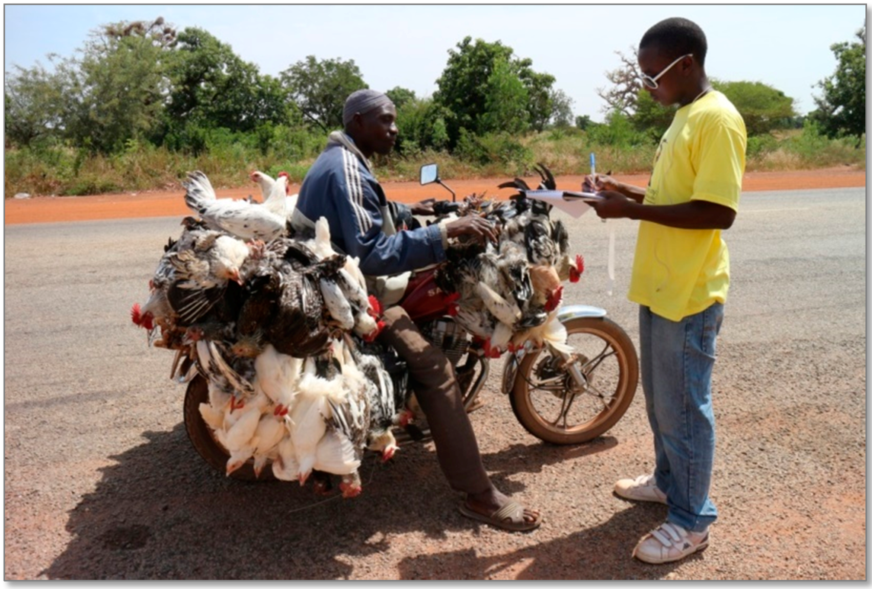 Sustainability 08 01175 g010