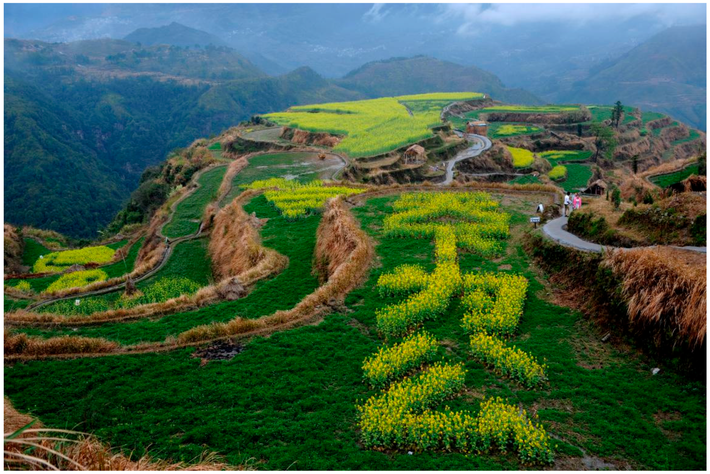 Sustainability 08 01260 g005