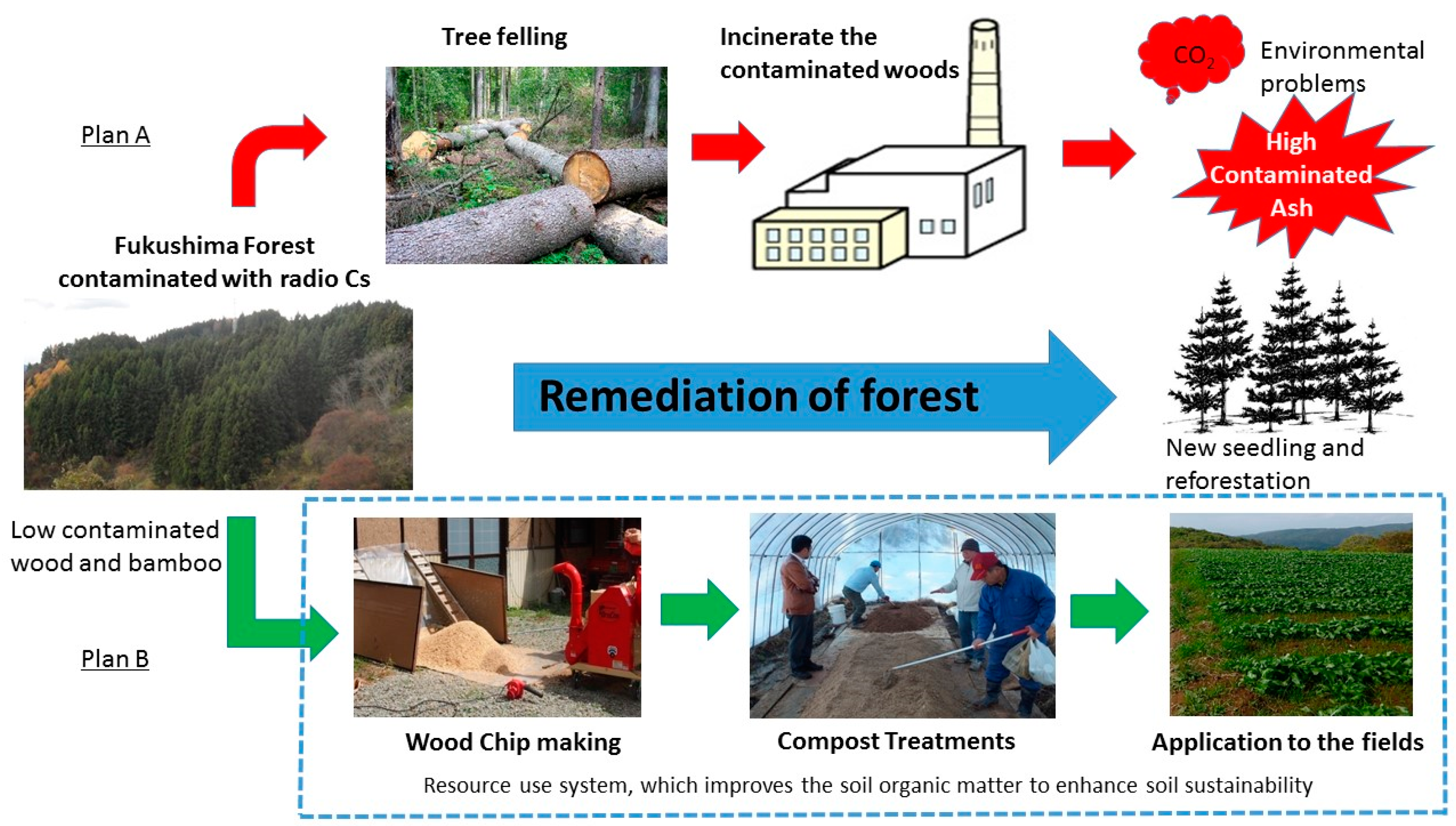 Sustainability 08 01332 g001
