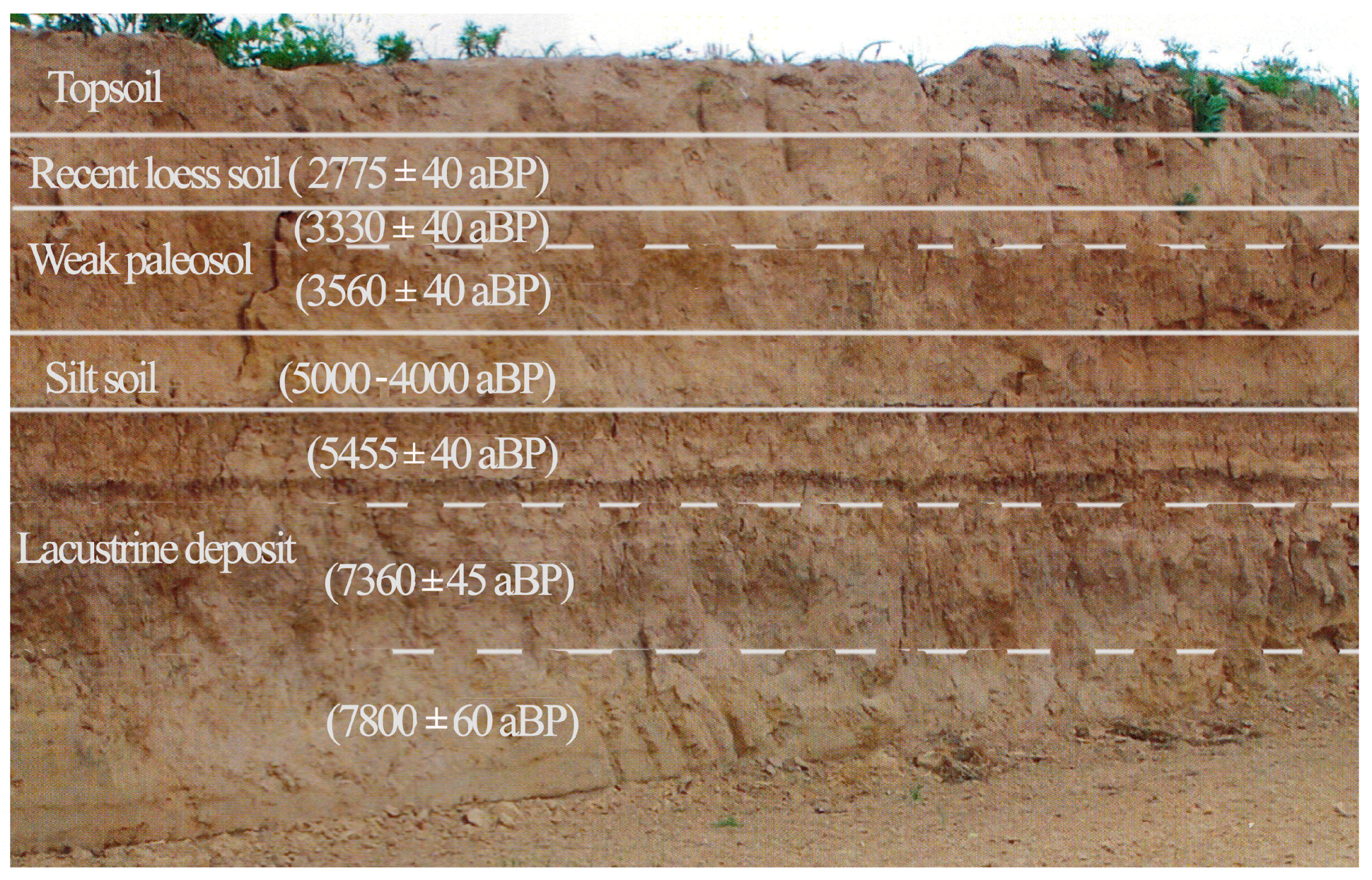 Sustainability 09 00114 g005