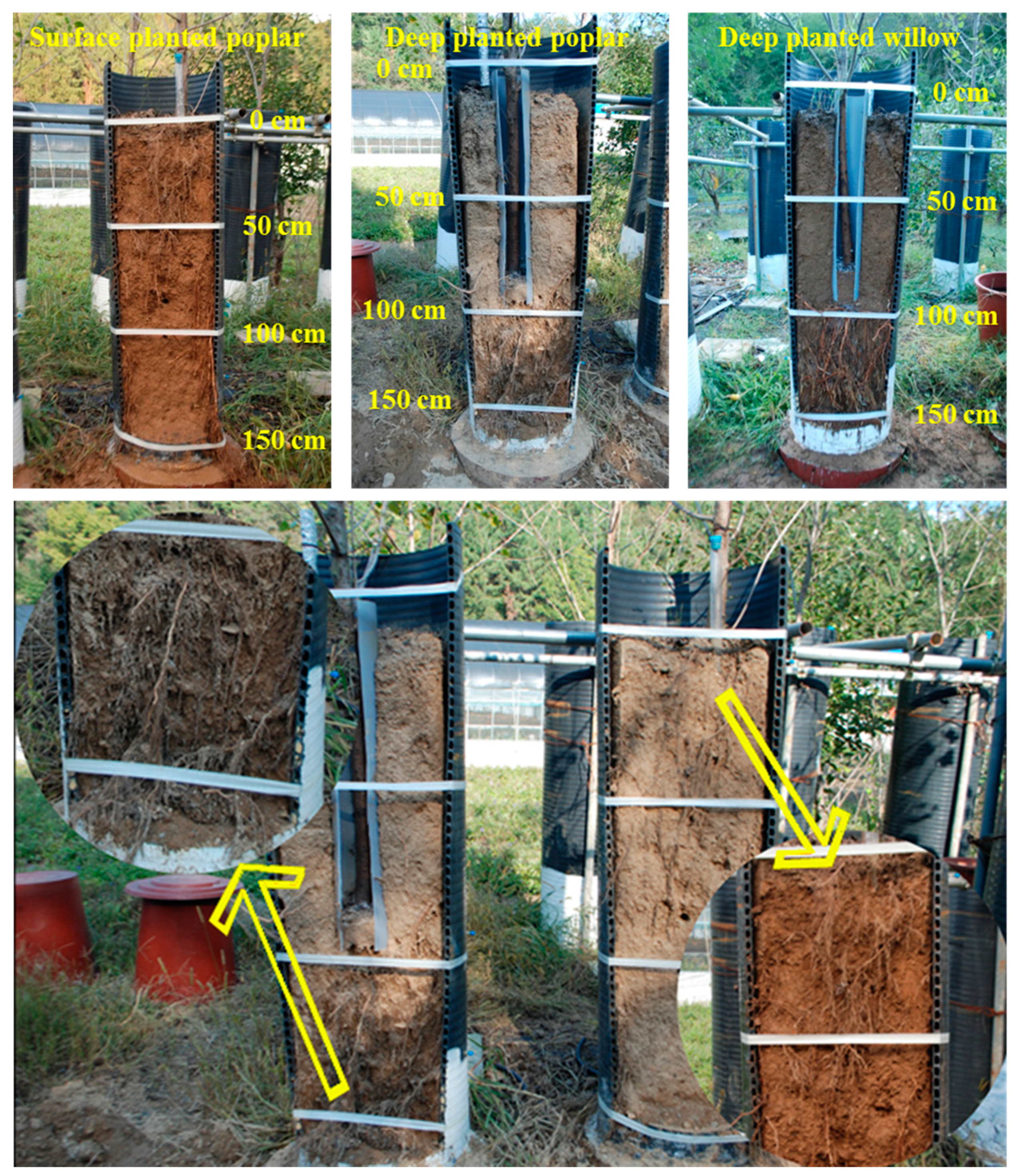 Sustainability 09 00155 g009