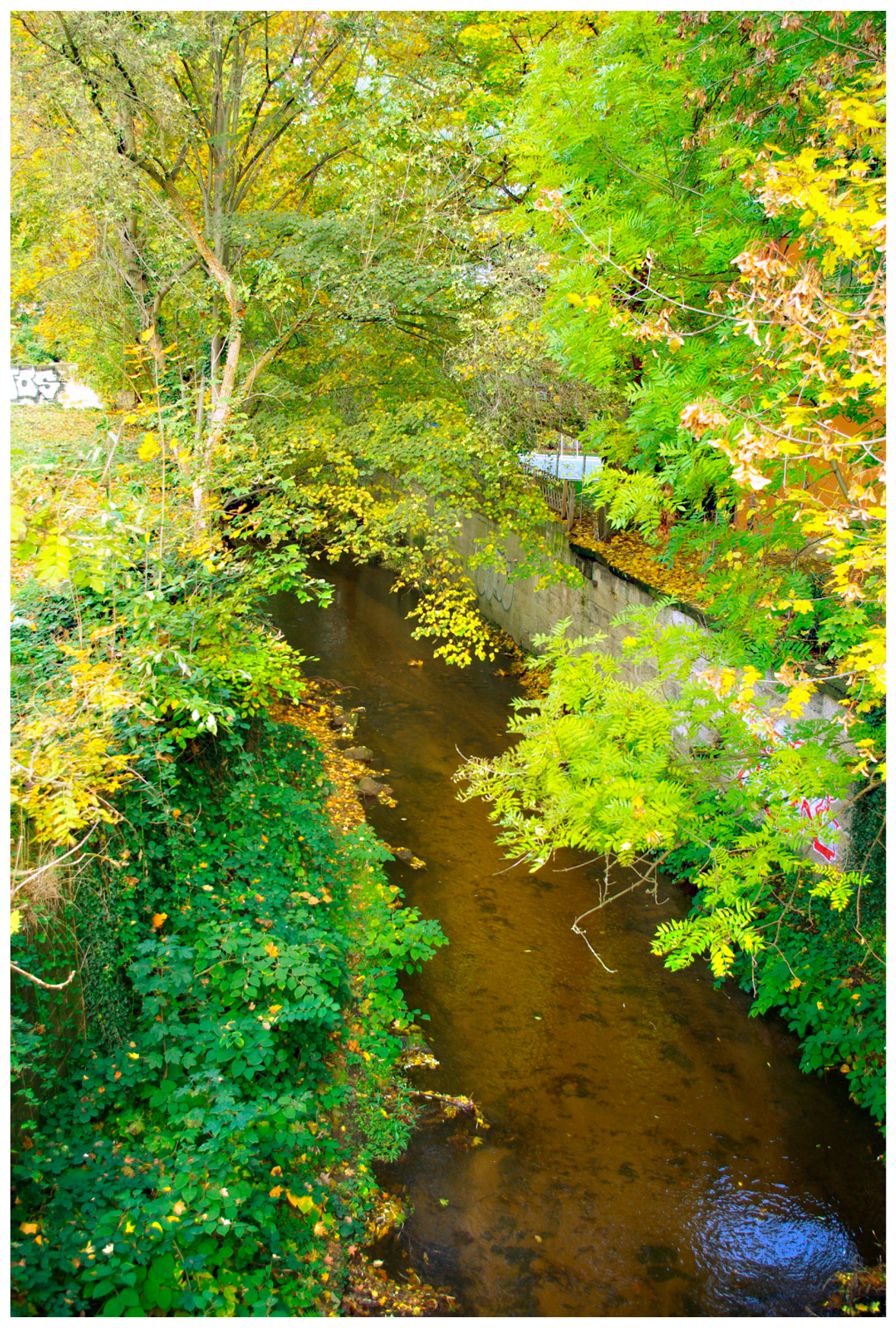 Sustainability 09 00198 g003