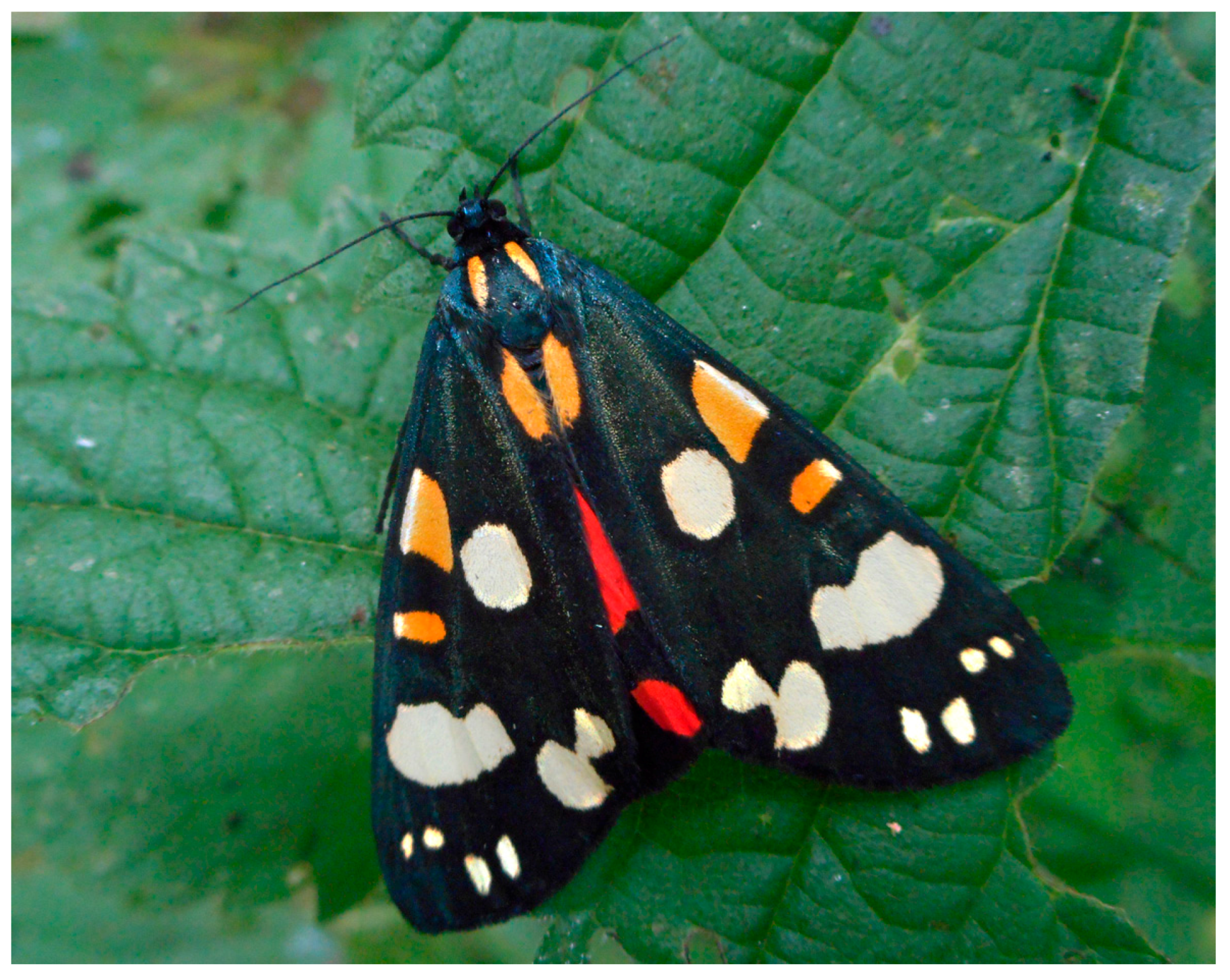 Sustainability 09 00198 g004