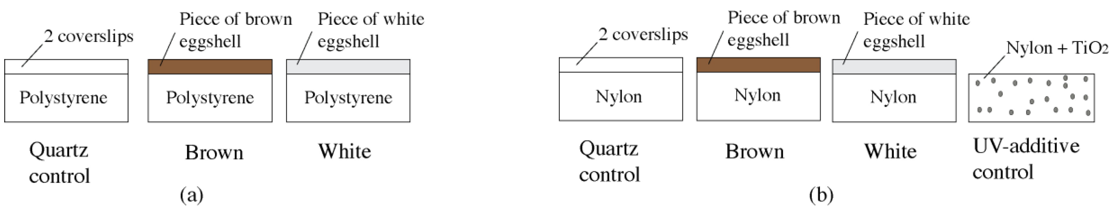 Sustainability 09 00232 g001