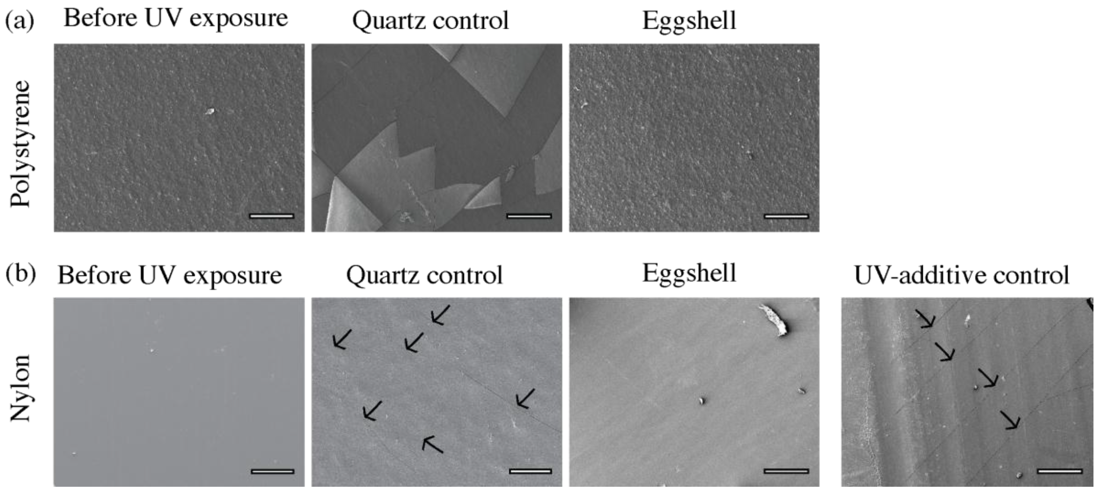 Sustainability 09 00232 g002