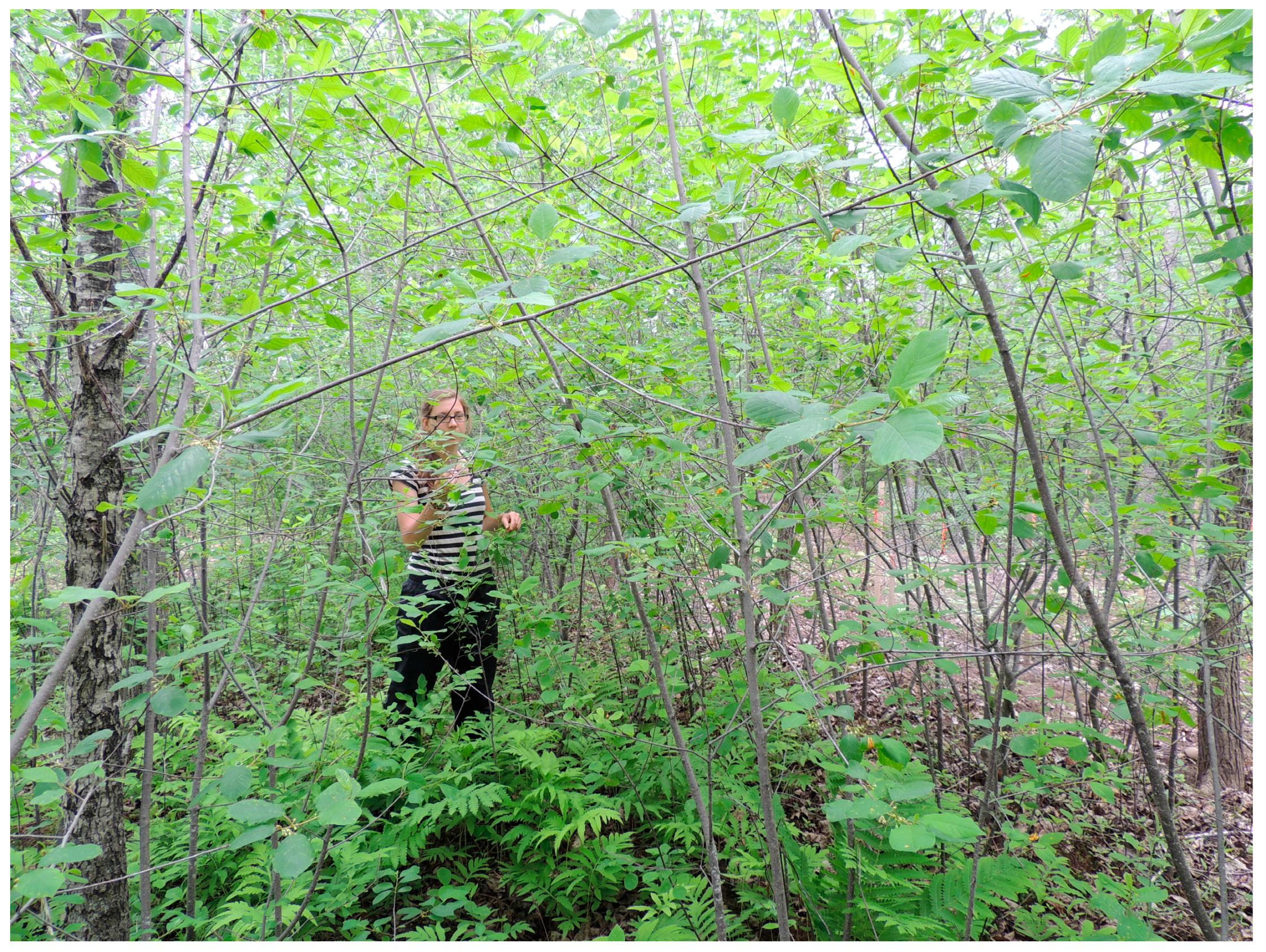 Sustainability 09 00249 g001