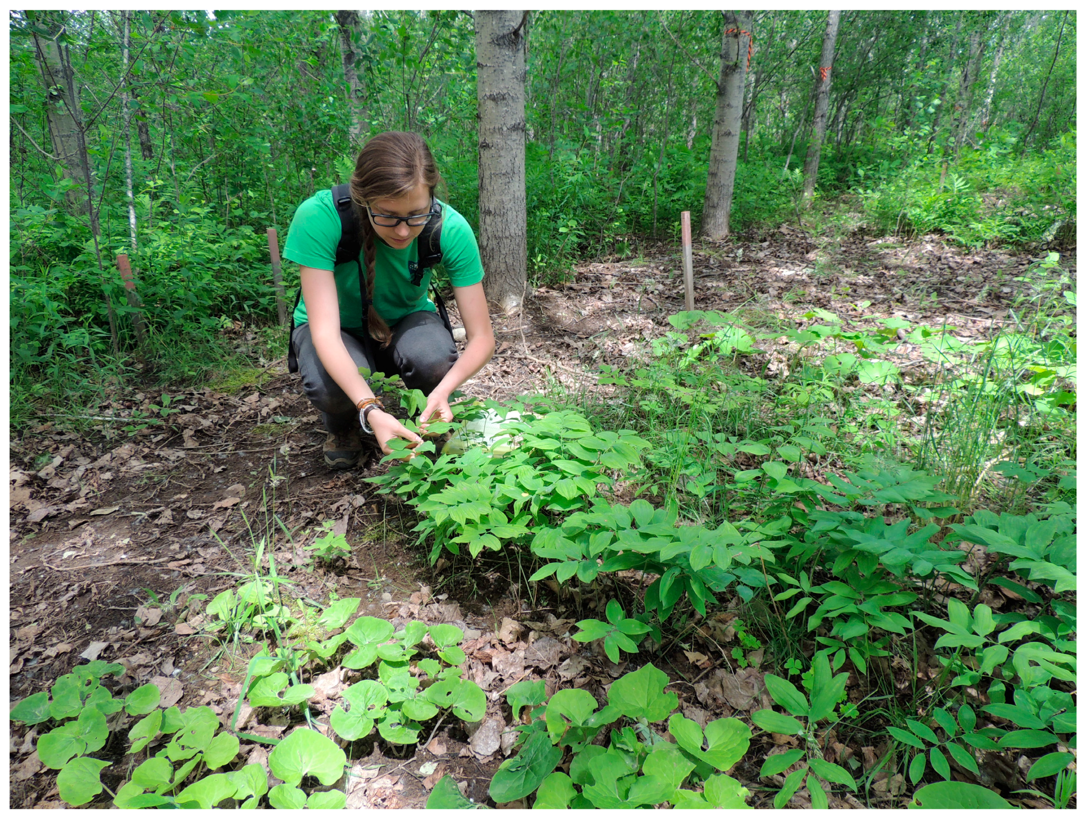 Sustainability 09 00249 g002