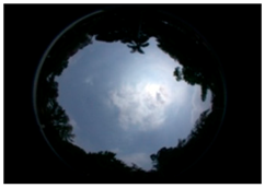 Sustainability 09 00340 i001