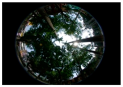 Sustainability 09 00340 i008