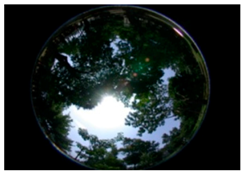 Sustainability 09 00340 i012