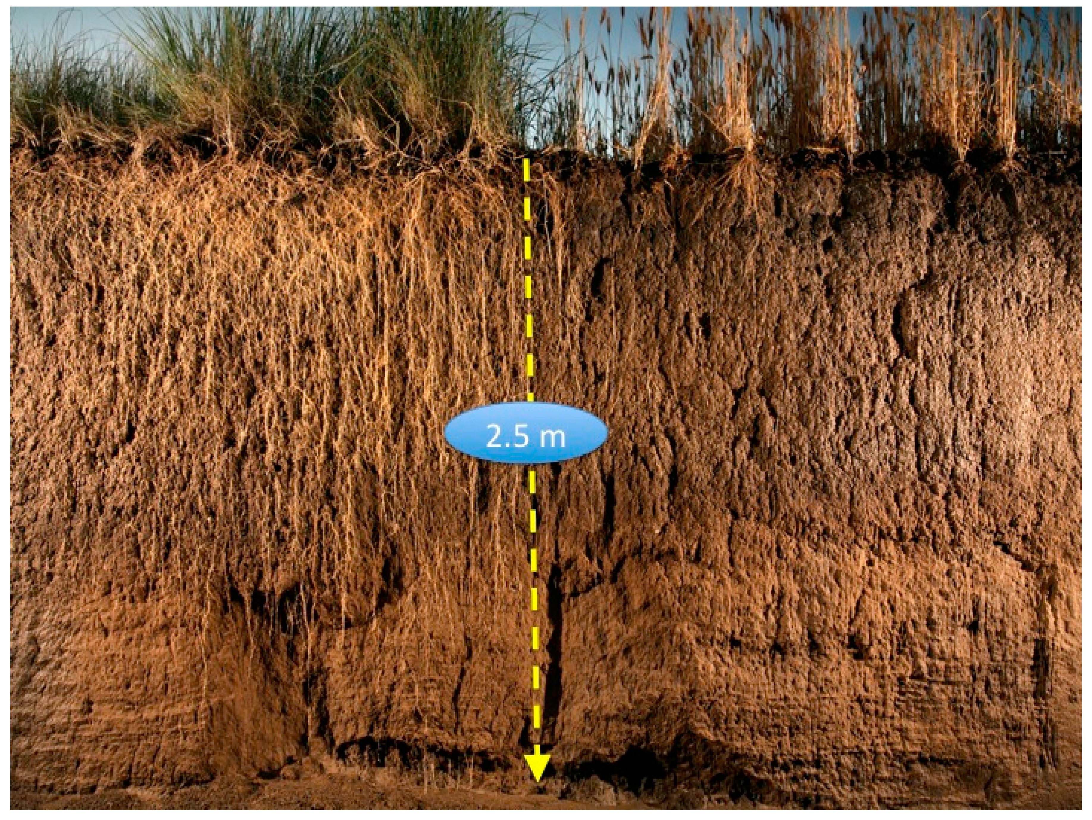 Sustainability 09 00578 g003