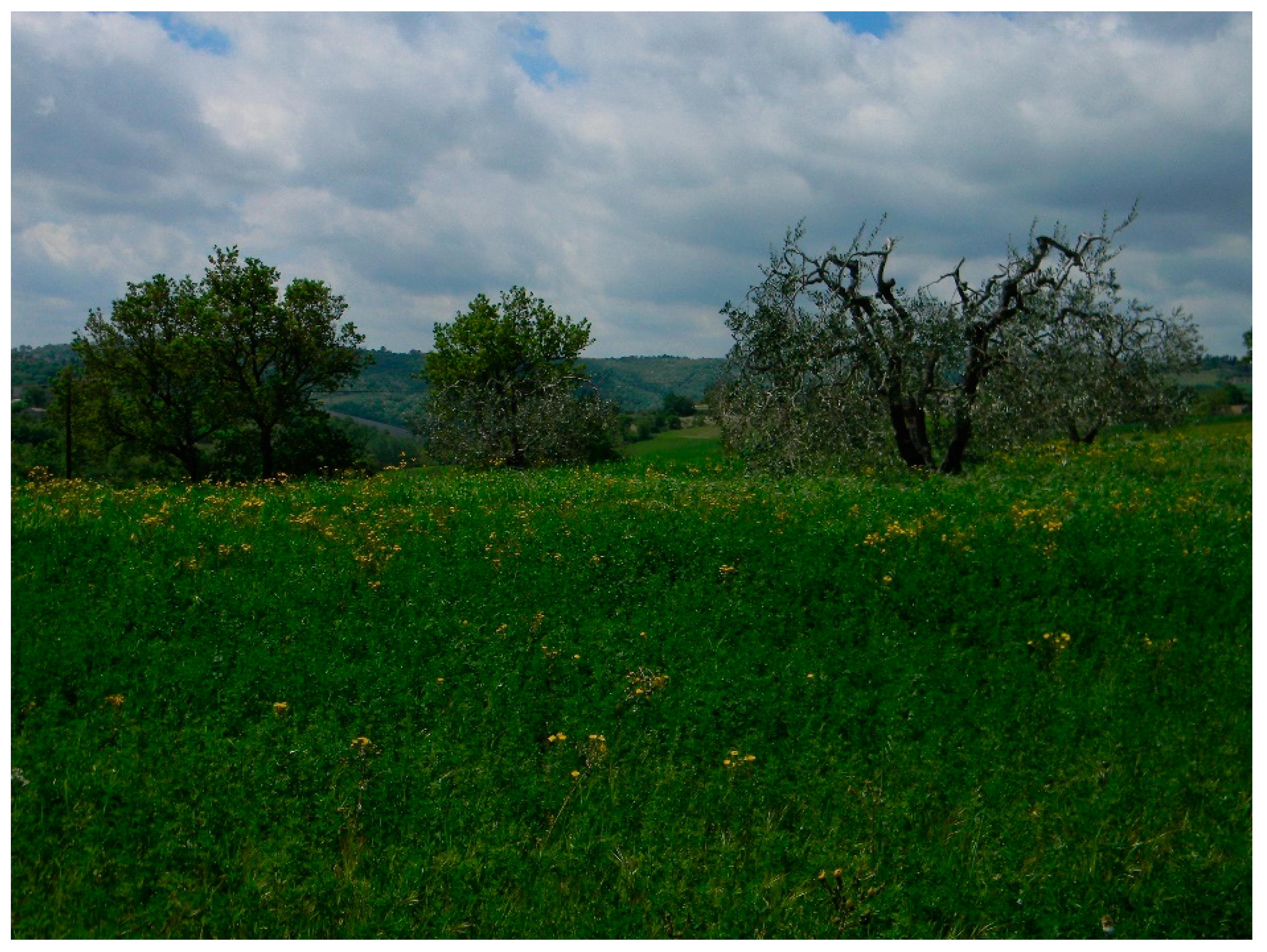 Sustainability 09 00638 g001