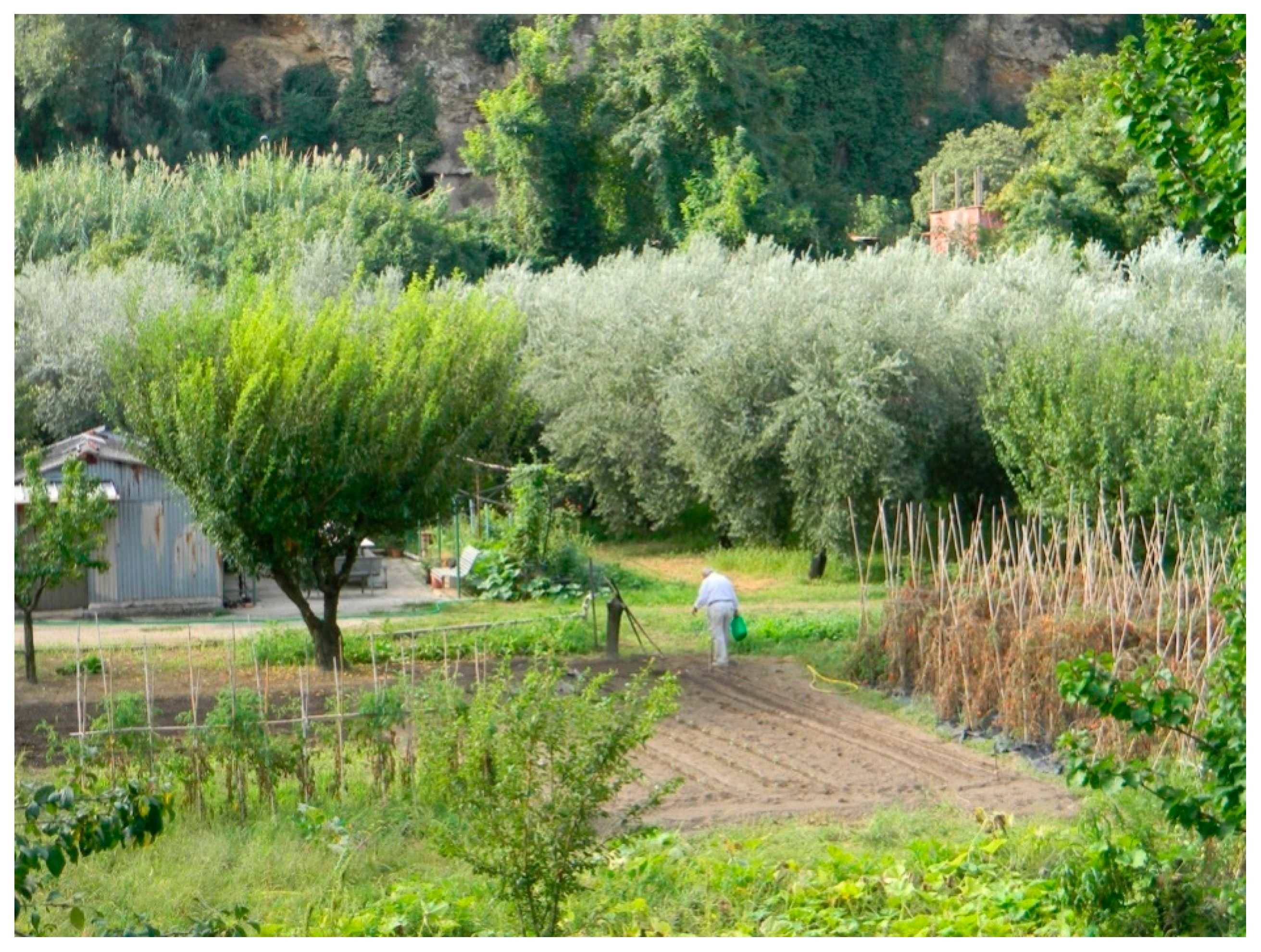 Sustainability 09 00638 g002