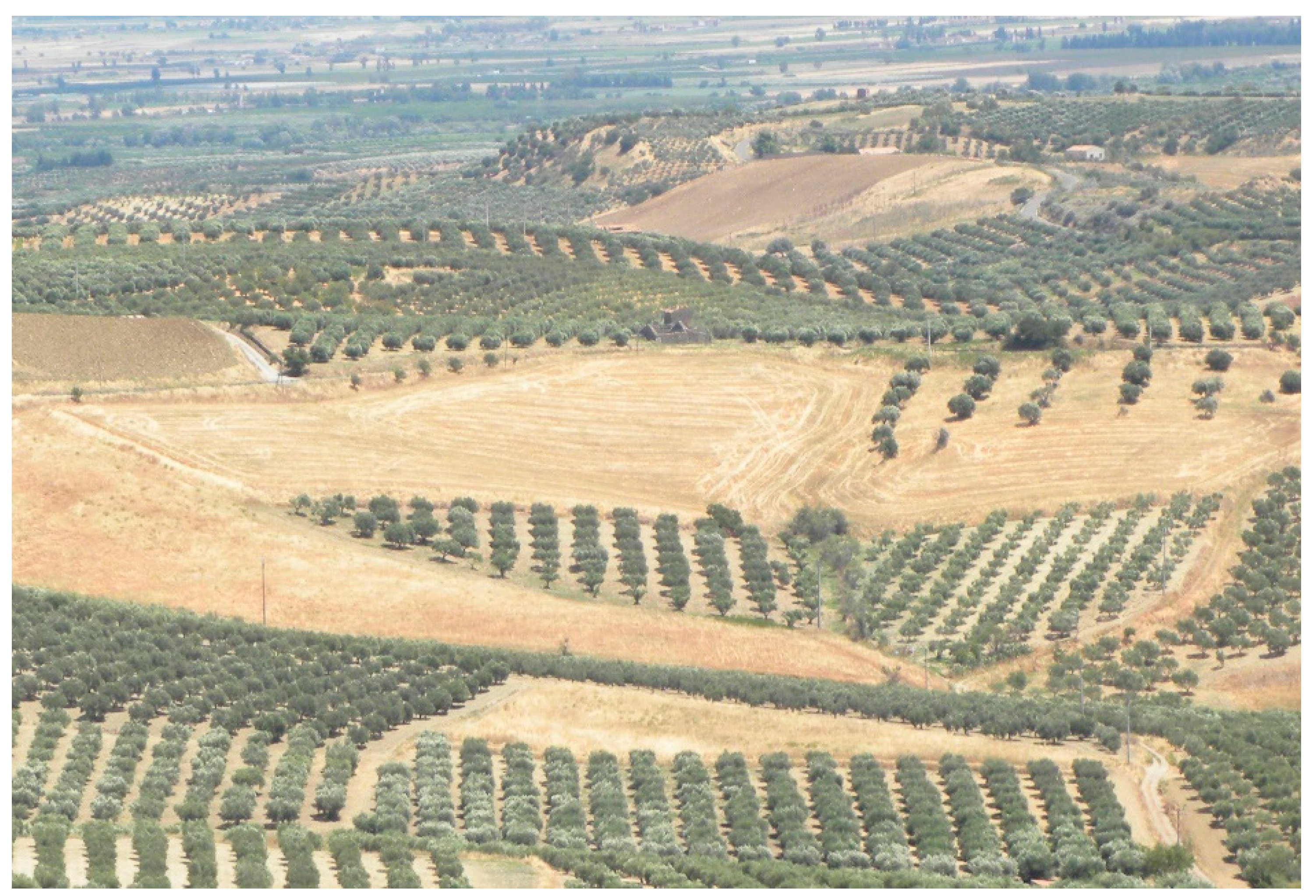 Sustainability 09 00638 g004