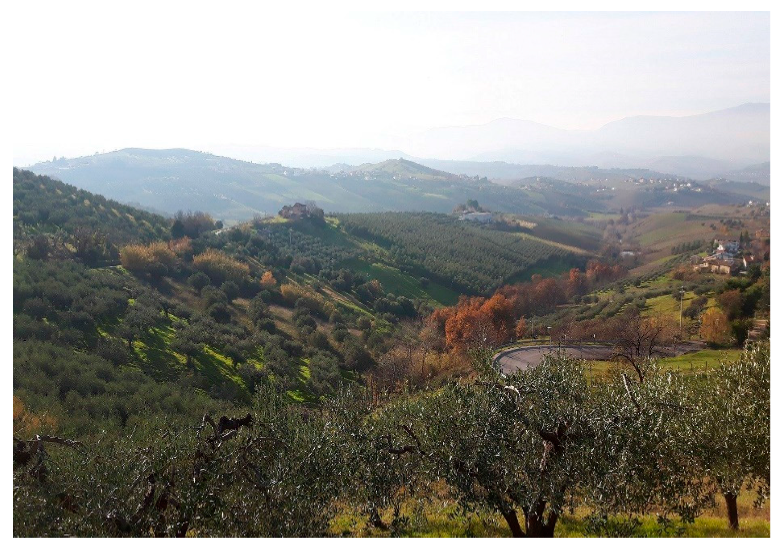 Sustainability 09 00638 g007