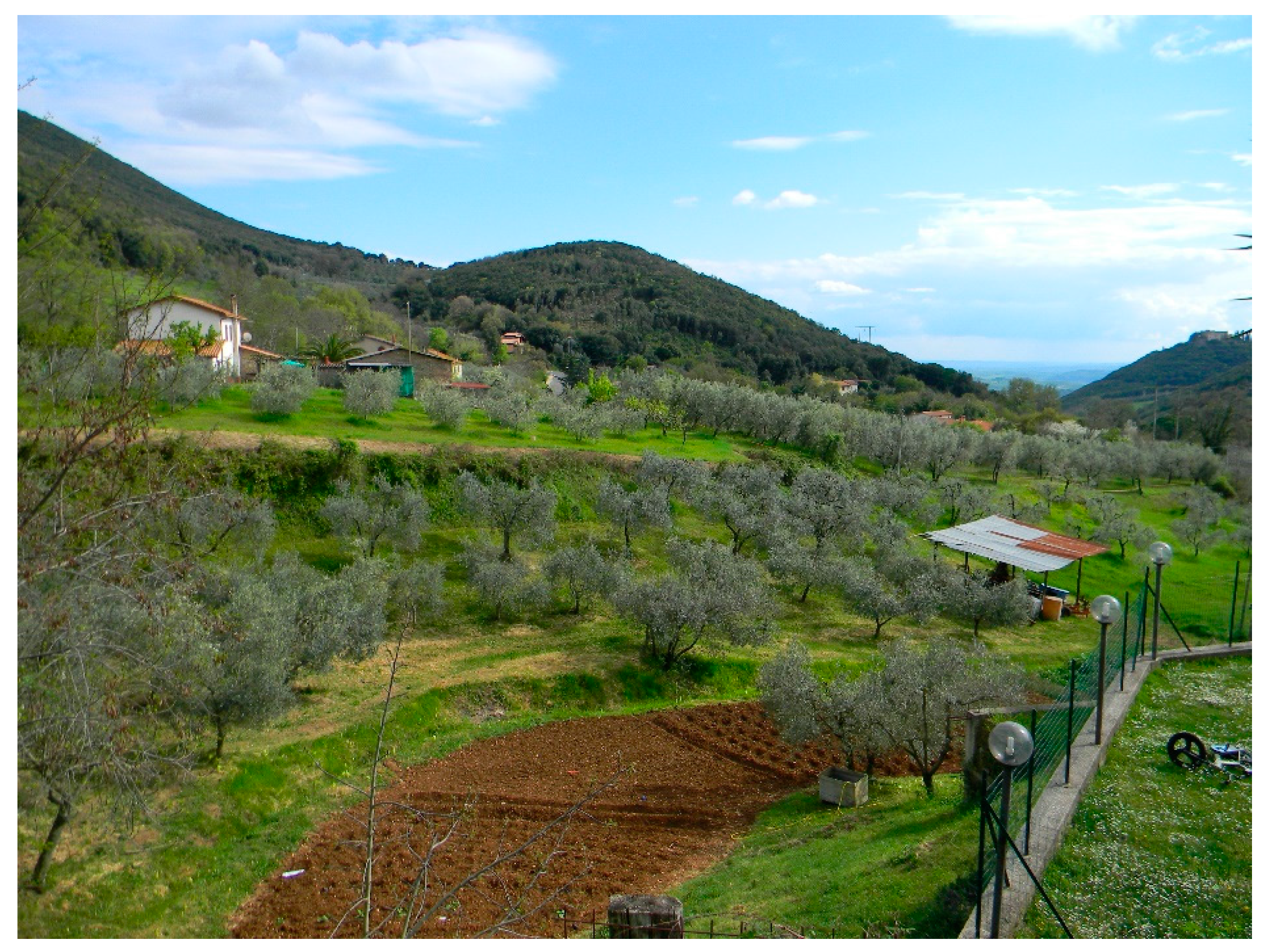 Sustainability 09 00638 g009