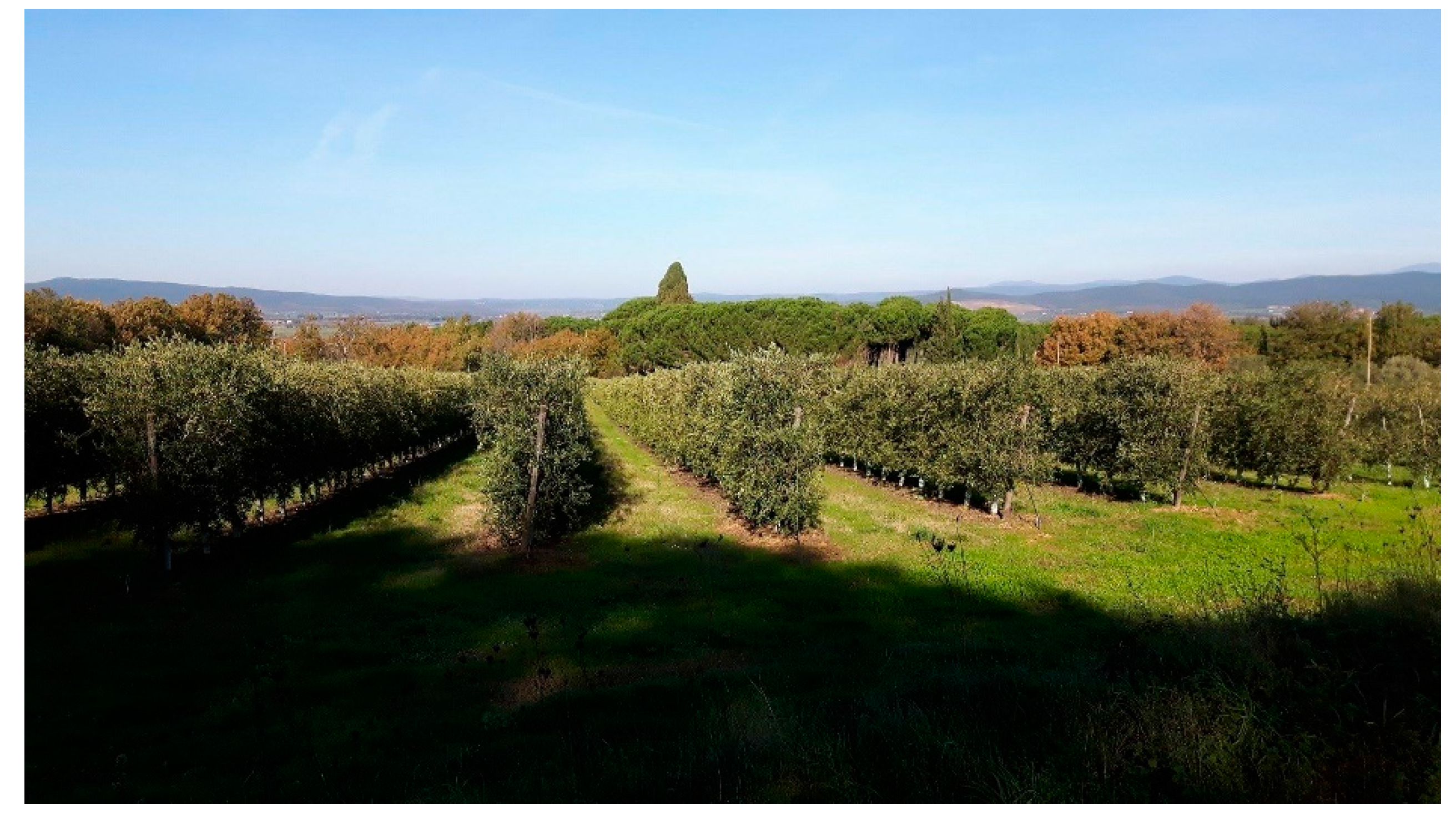 Sustainability 09 00638 g010