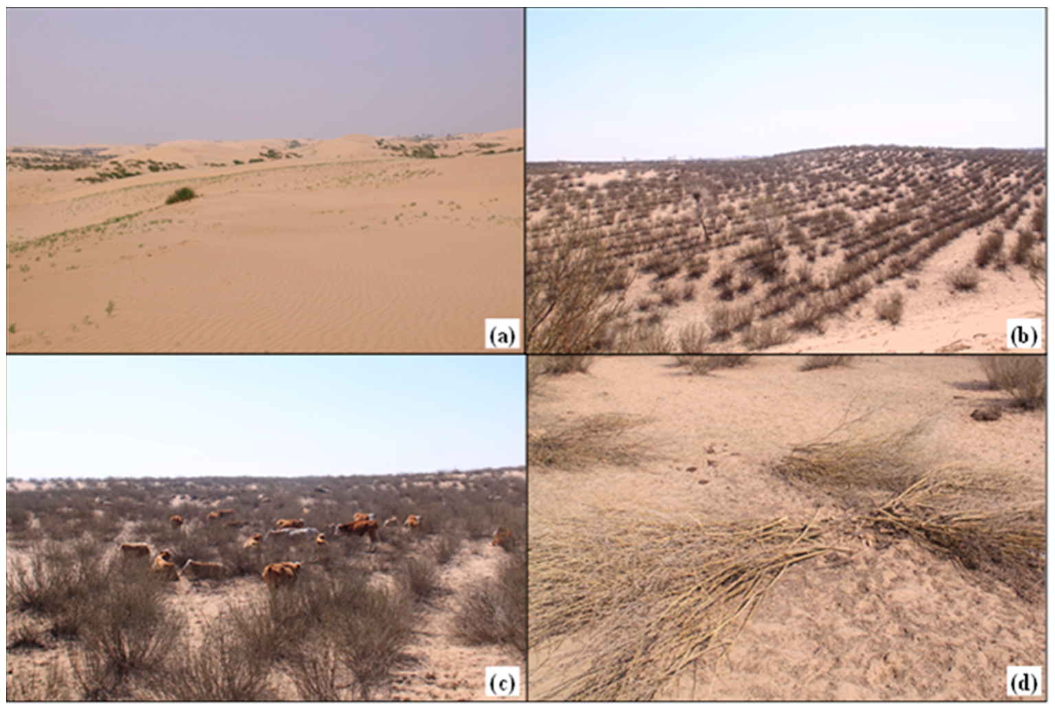 Sustainability 09 00662 g001