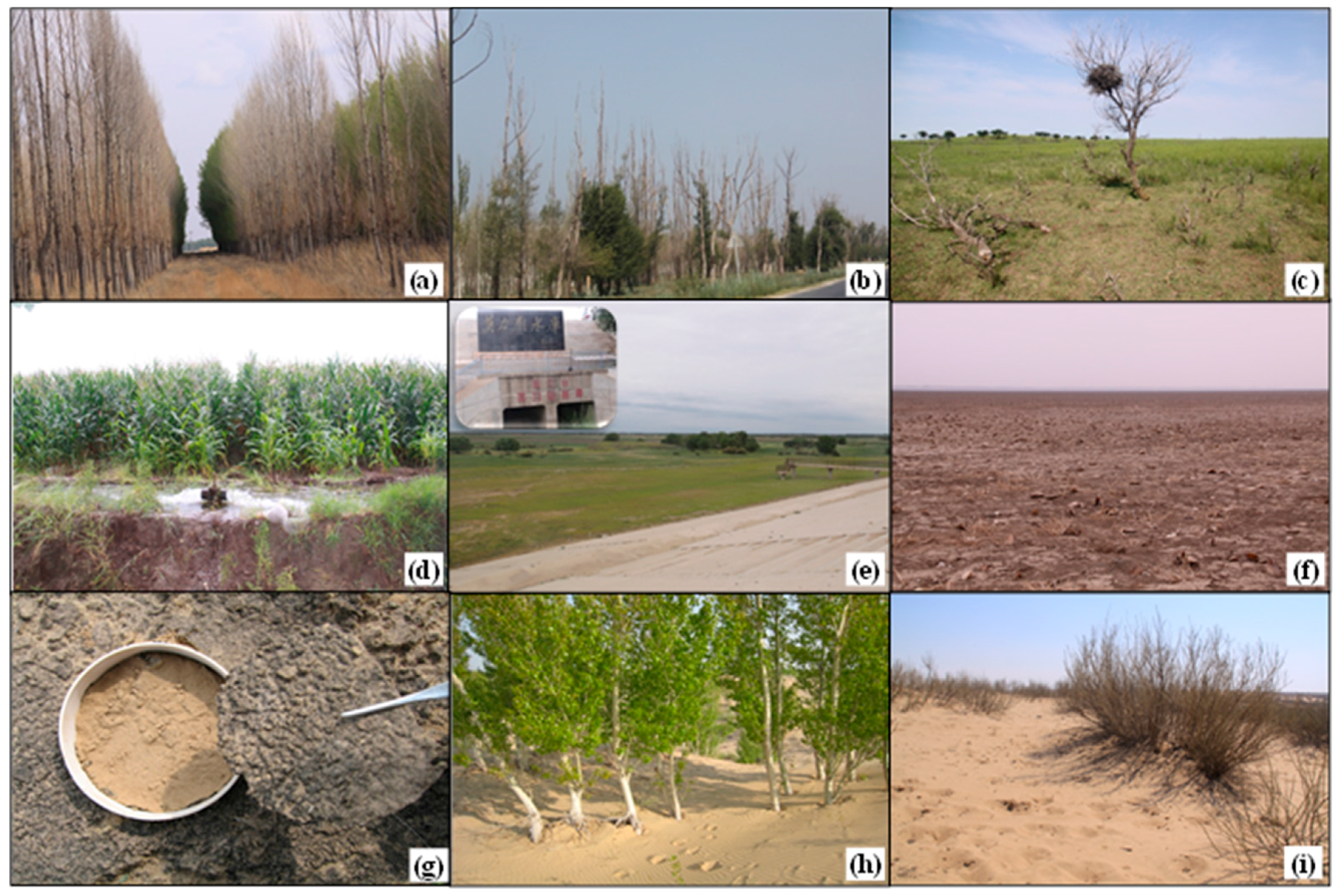 Sustainability 09 00662 g005