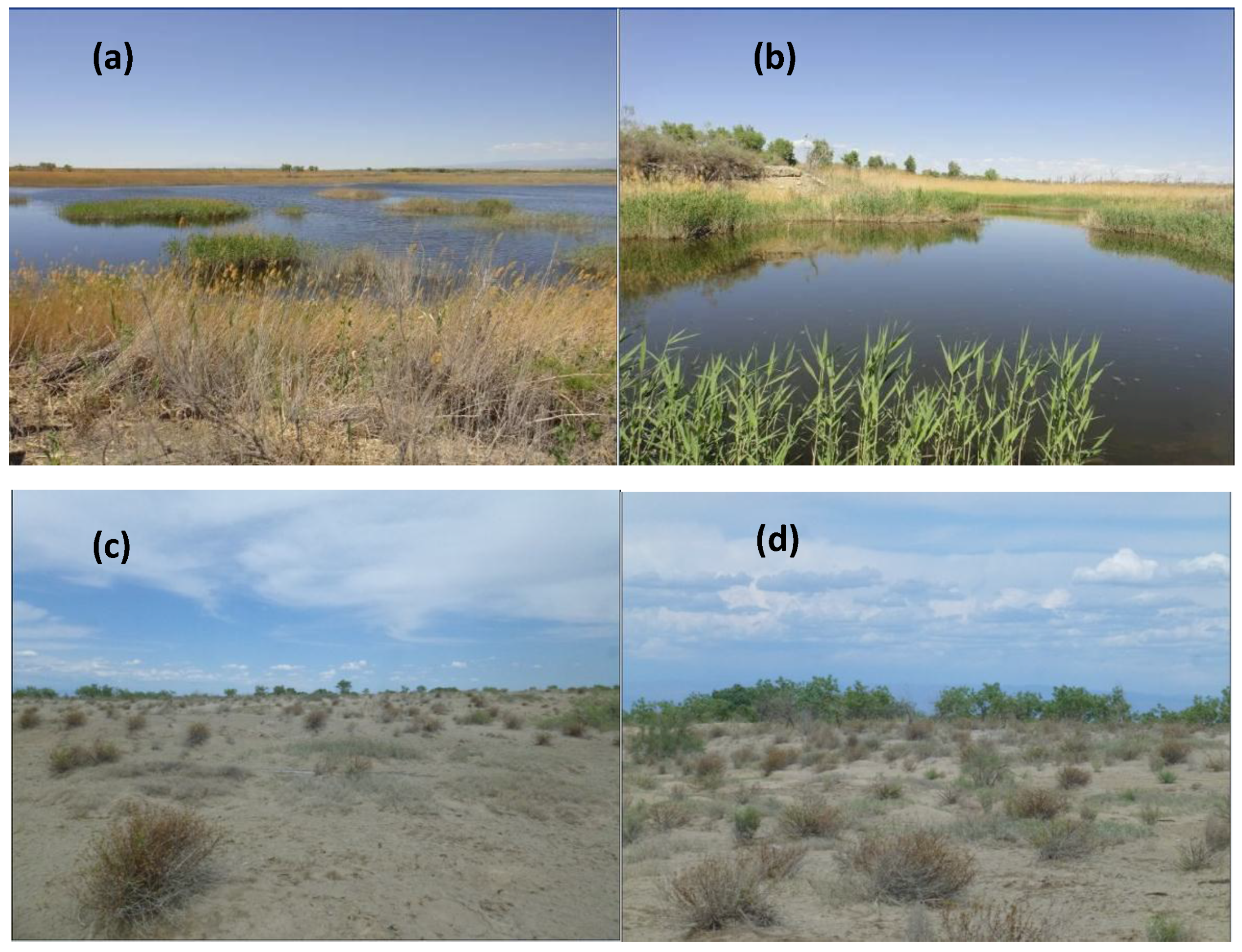 Sustainability 09 00724 g002