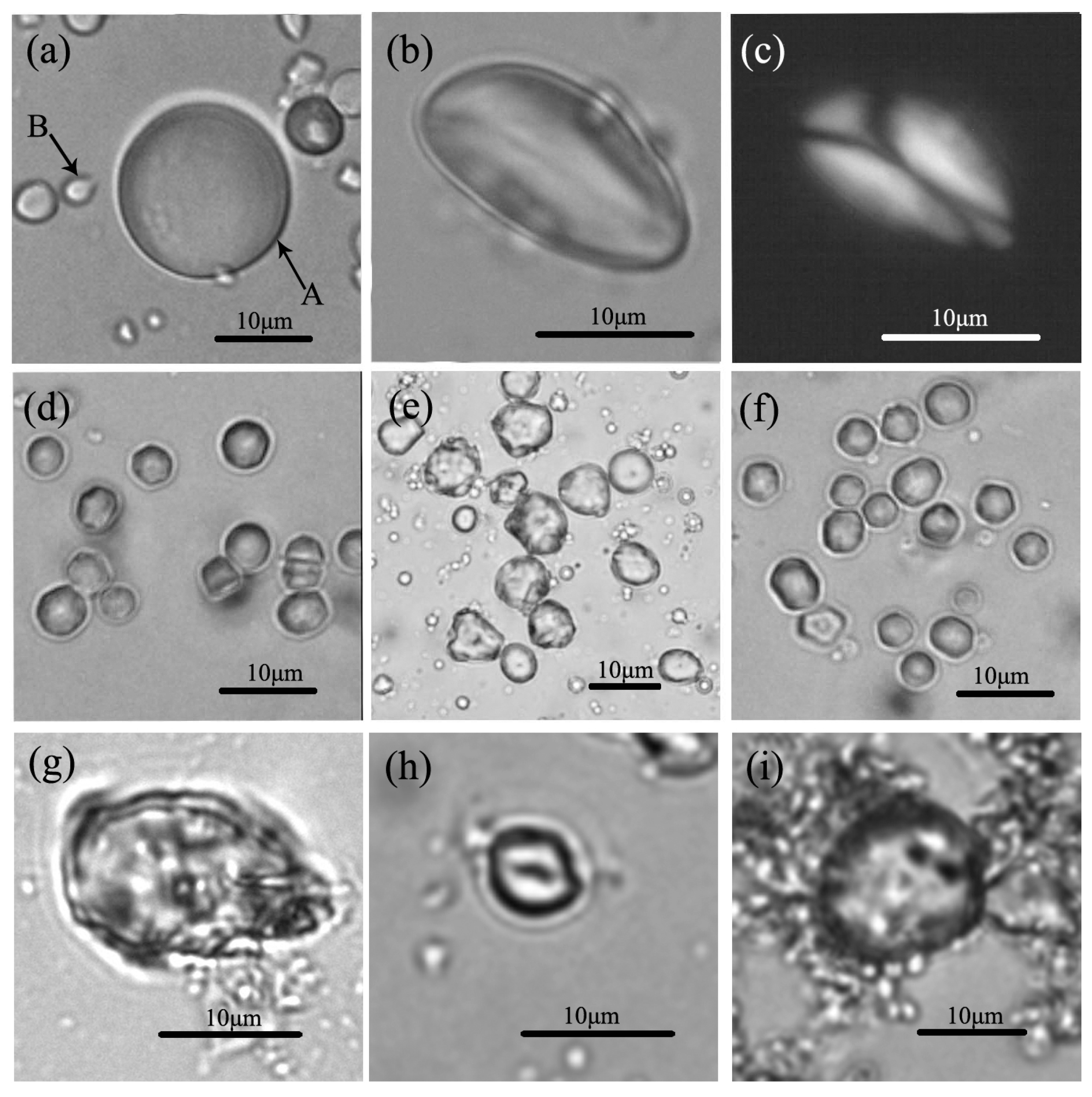 Sustainability 09 00752 g002