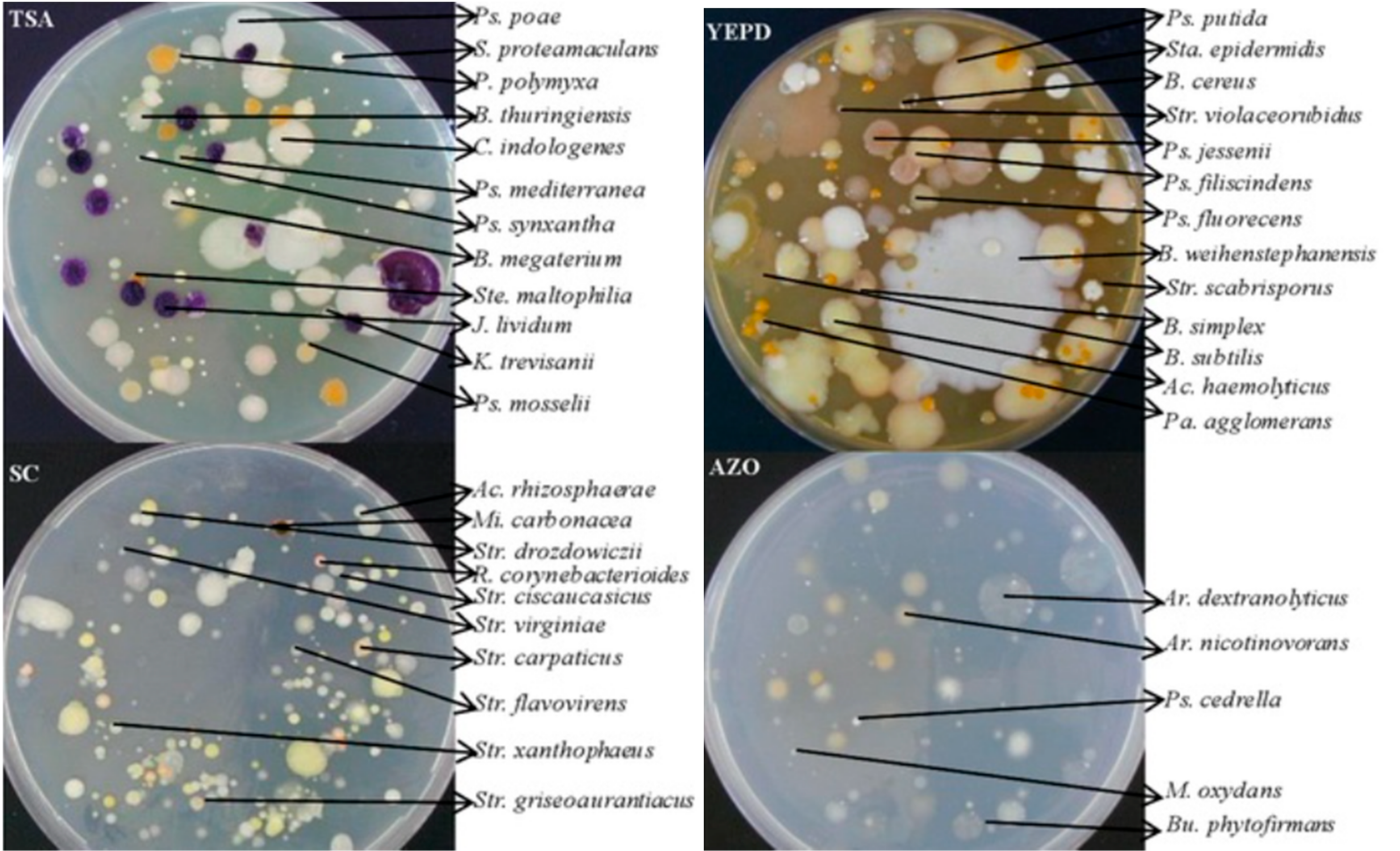 Sustainability 09 00778 g001