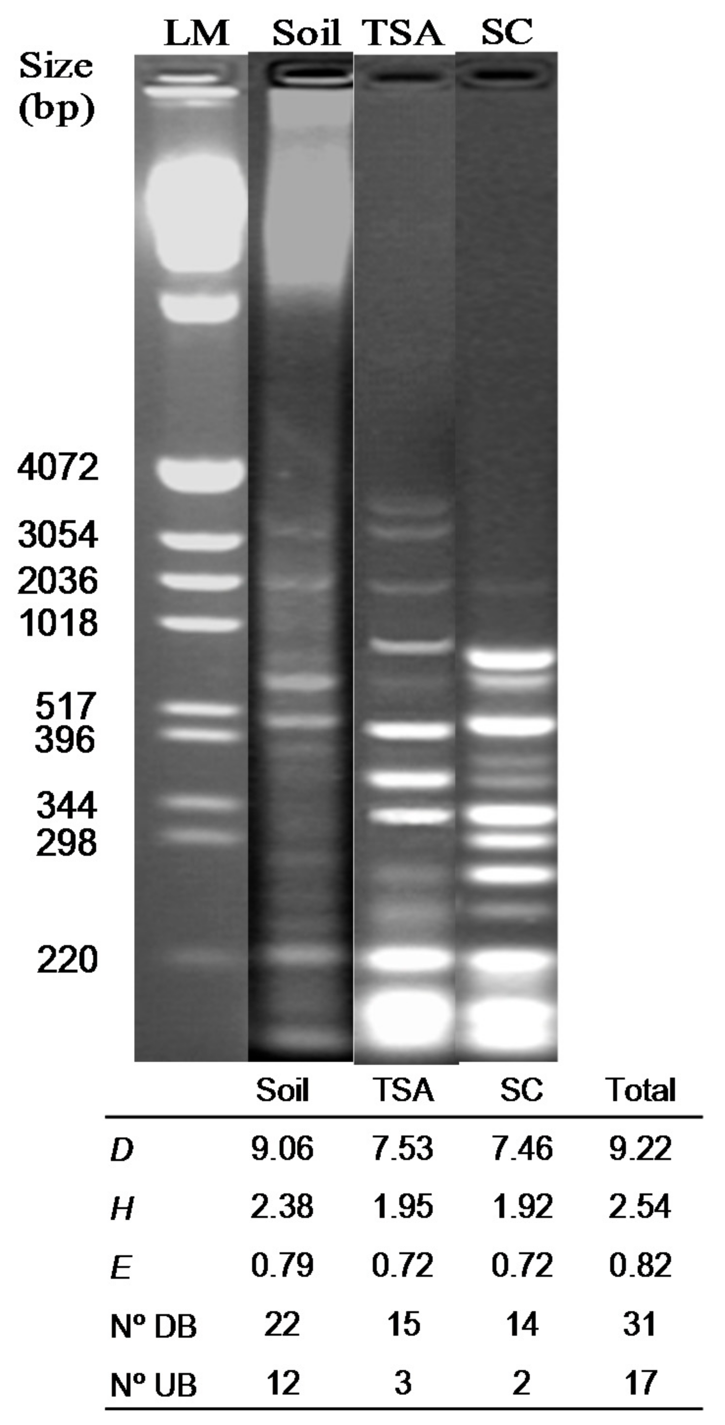 Sustainability 09 00778 g002