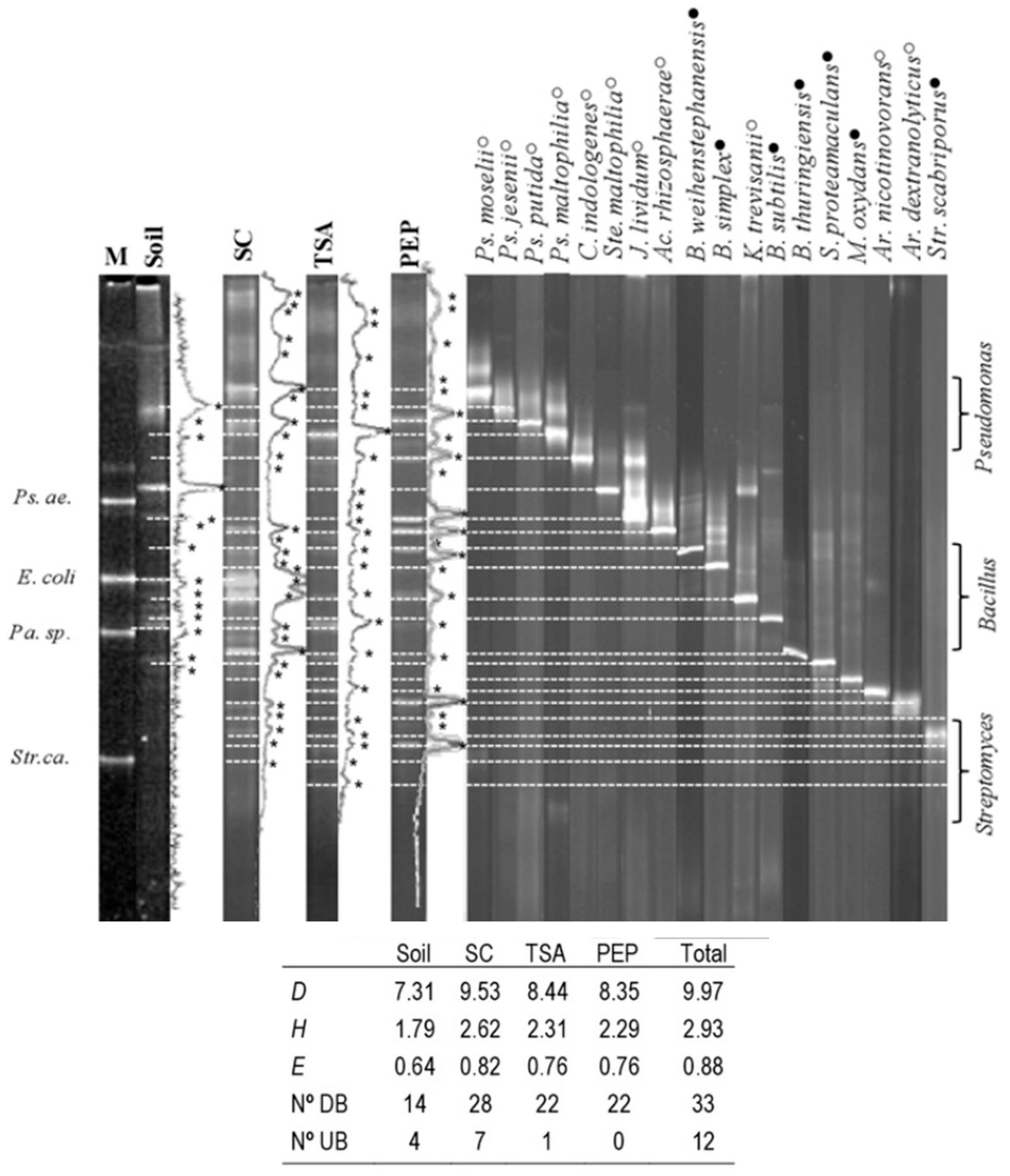 Sustainability 09 00778 g003